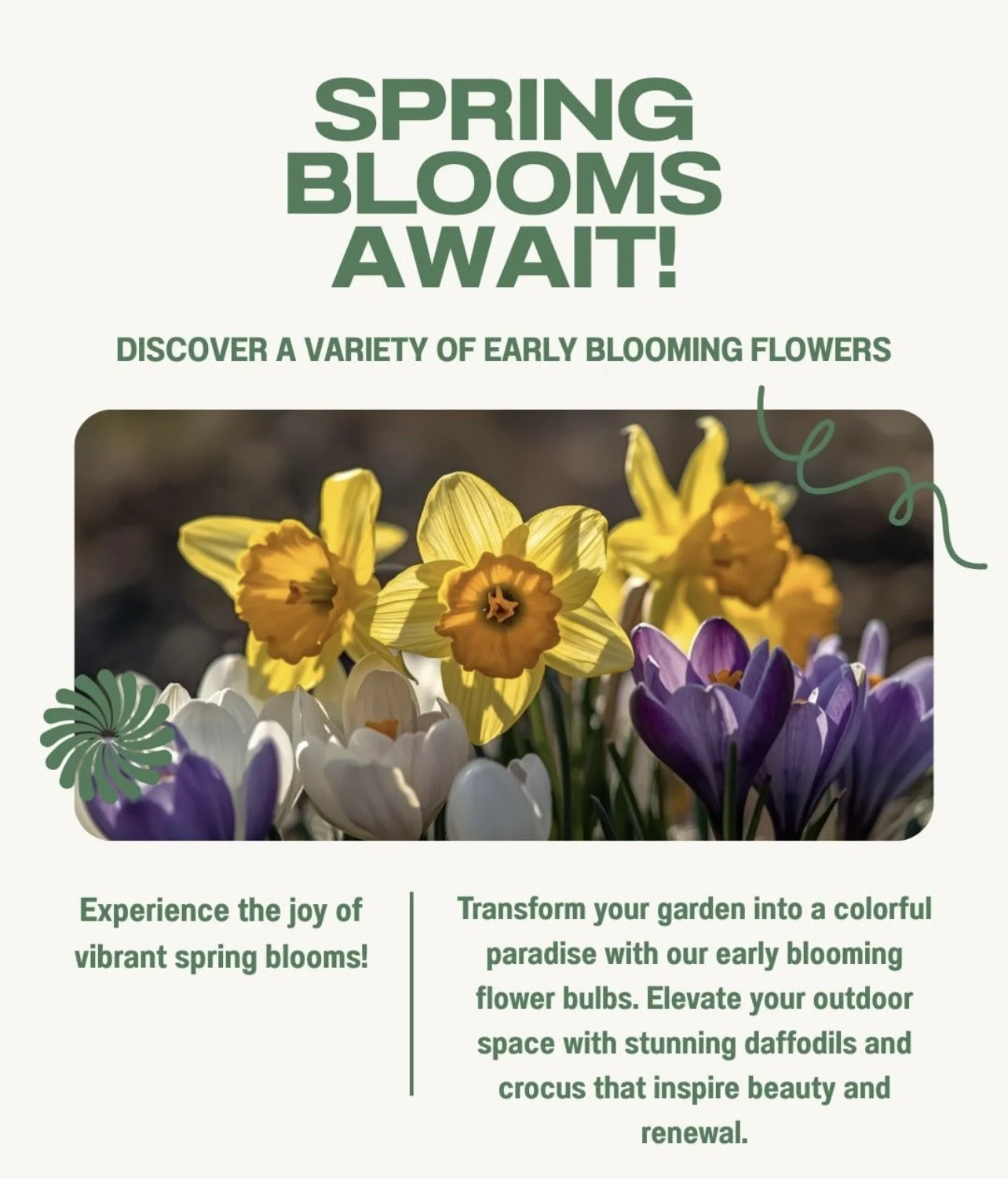 Mixed bulb packages.jpg