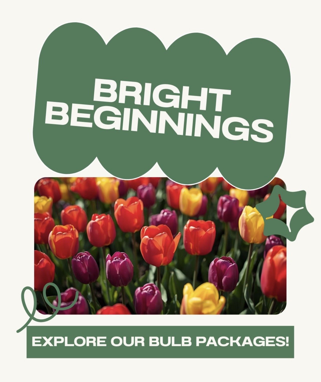 Bulb planting packages.jpg