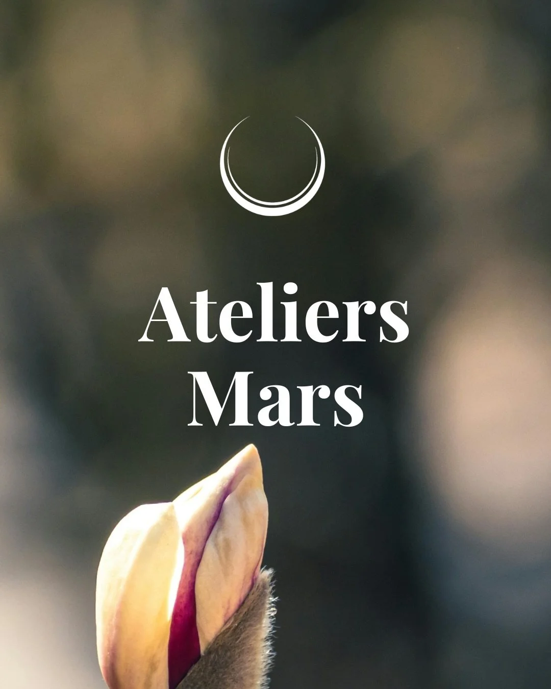 Mars c&rsquo;est l&rsquo;ancrage et le d&eacute;ploiement.
Si f&eacute;vrier &eacute;tait le mois de l&rsquo;&eacute;veil de la s&egrave;ve et du nettoyage, mars nous demande de donner une direction &agrave; cette &eacute;nergie. C&rsquo;est le momen