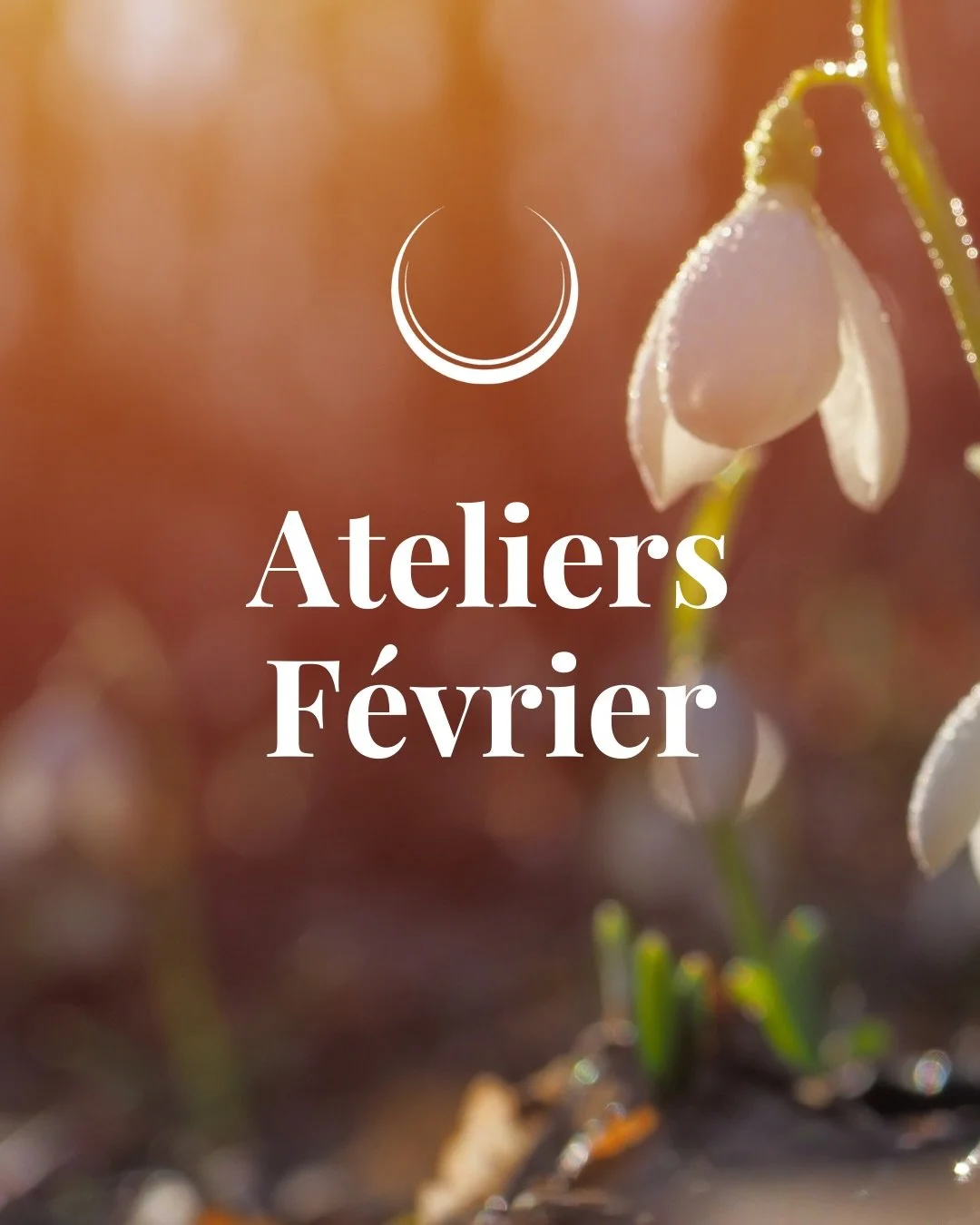 Alors que la nature fr&eacute;mit sous la terre, f&eacute;vrier nous invite &agrave; sortir de notre cocon. 
C&rsquo;est le grand r&eacute;veil, l&rsquo;&eacute;nergie ne se contente plus de circuler, elle s&rsquo;&eacute;lance. C&rsquo;est le moment