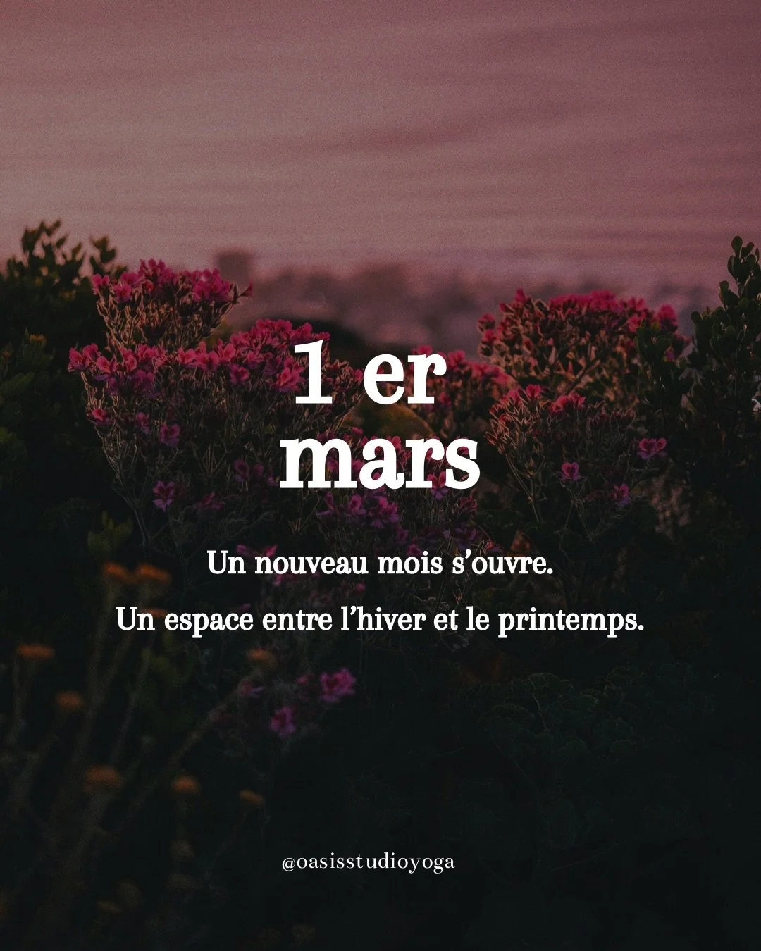 Comme dans une salutation au soleil plus consciente.
Comme dans un chien t&ecirc;te en haut o&ugrave; le c&oelig;ur s&rsquo;avance.
Comme dans une posture debout o&ugrave; l&rsquo;on choisit de prendre sa place.

Peut-&ecirc;tre que ce mois-ci, il ne