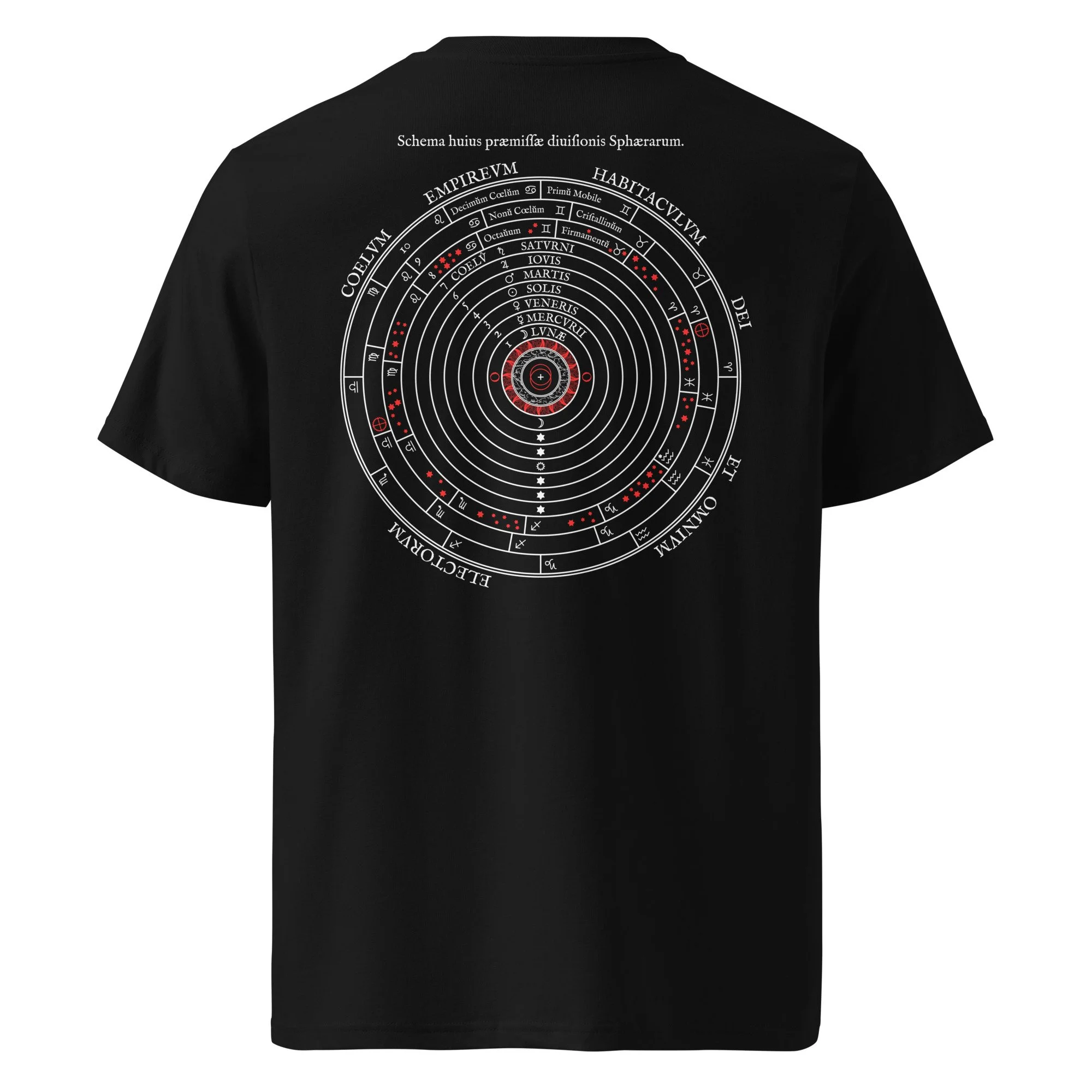 unisex-organic-cotton-t-shirt-black-back-6894a99e87122.jpg