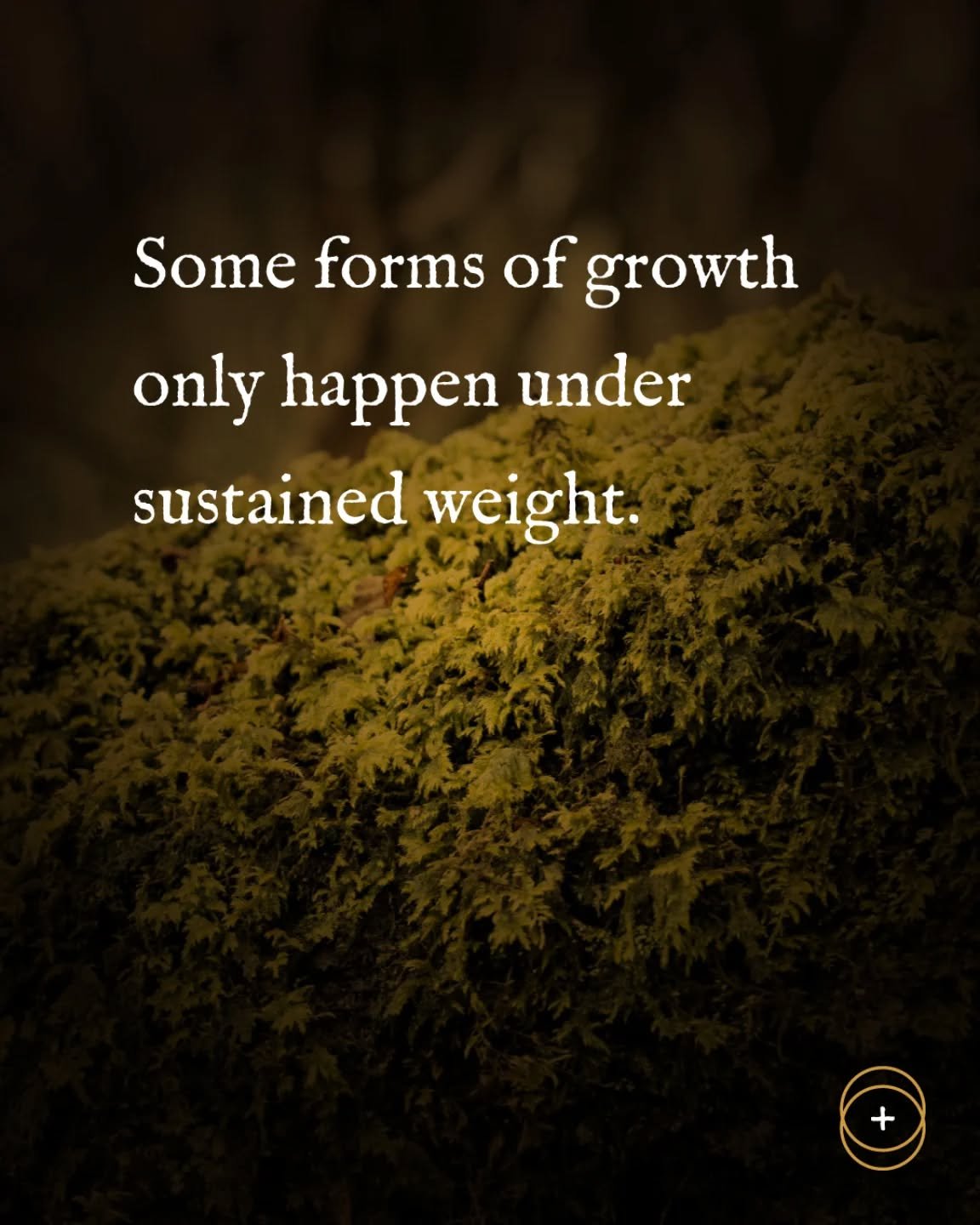 Working with Saturn devotionally isn't about asking for relief or trying to transcend difficulty. 

It's about taking reality seriously. Accepting limits. Committing to the long view.

Saturn doesn't remove obstacles. Instead, he shows you what happe