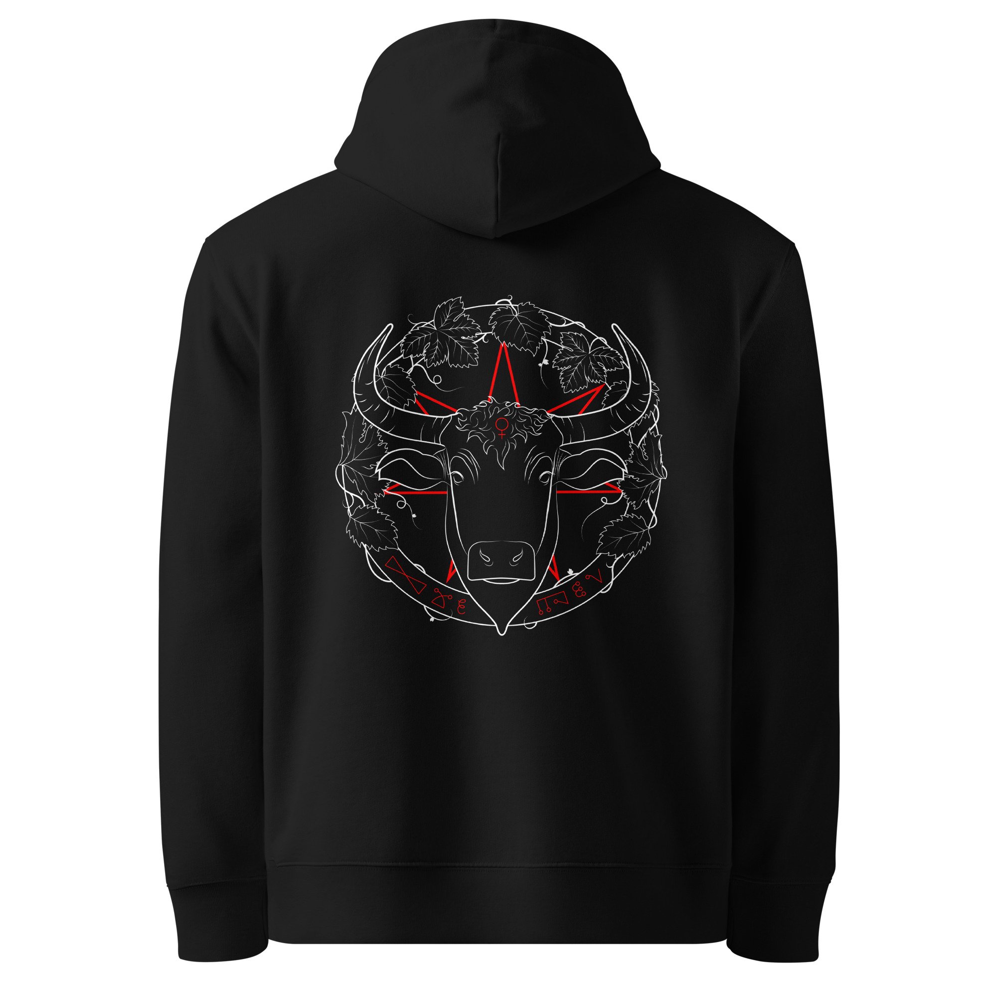 unisex-essential-eco-cruiser-2.0-hoodie-black-back-6a033b9f22594.jpg