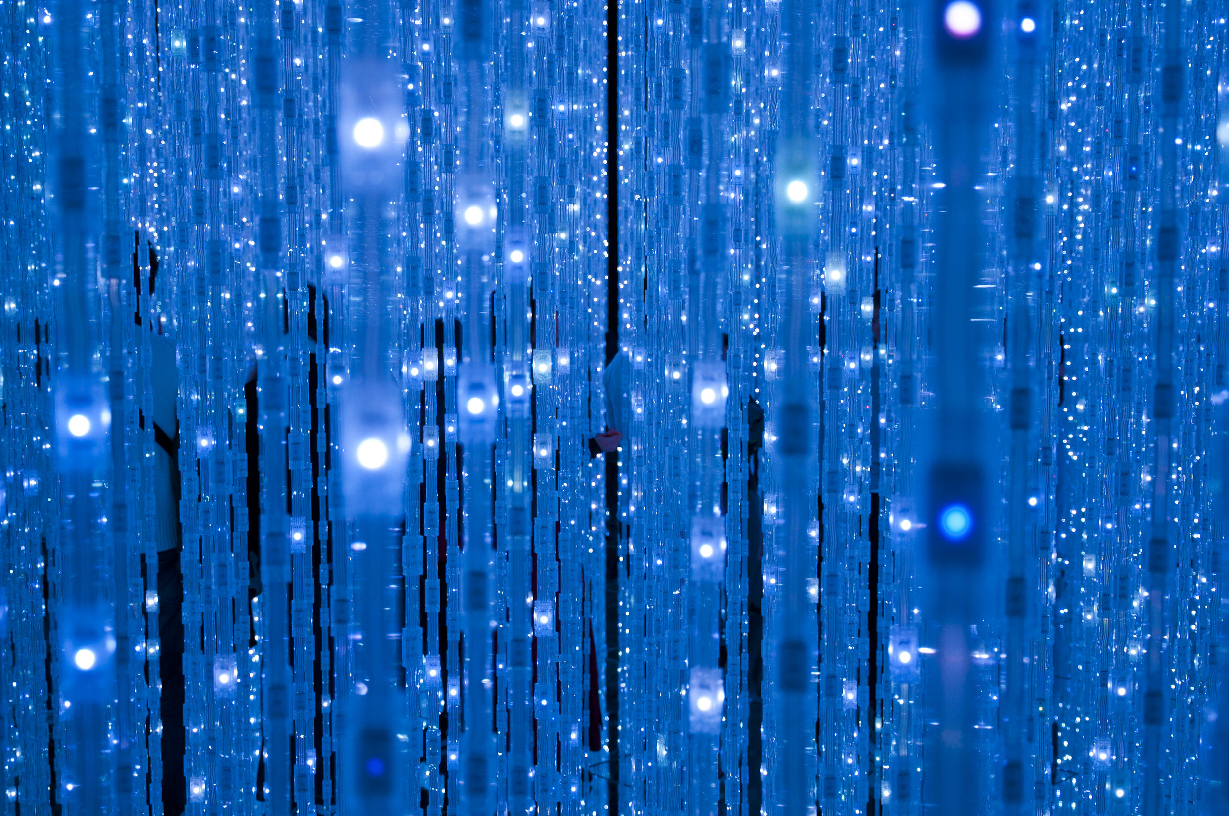 When the going gets tough, the tough go digital