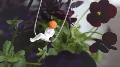 Building juicy little world's for The Coca-Cola Company