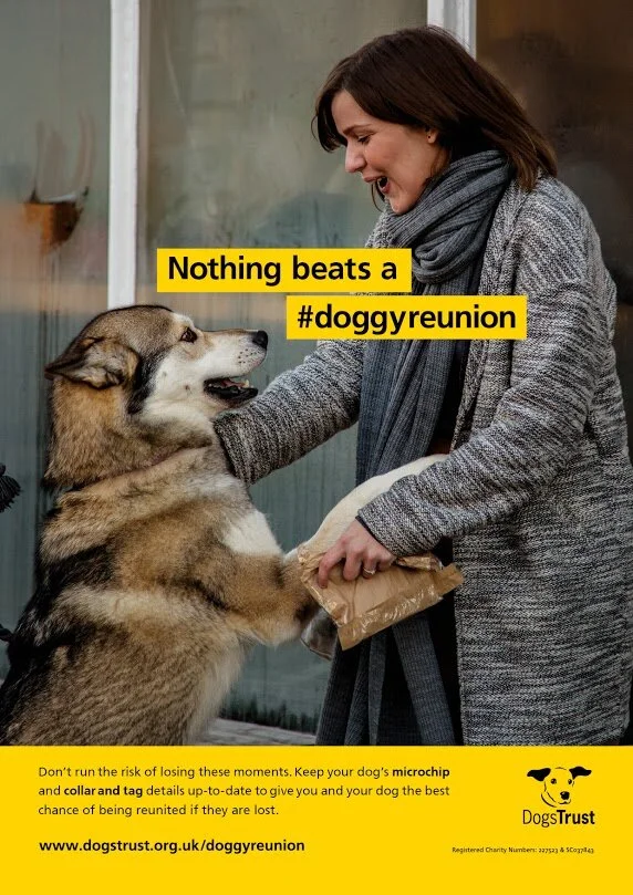 #DoggieReunion
