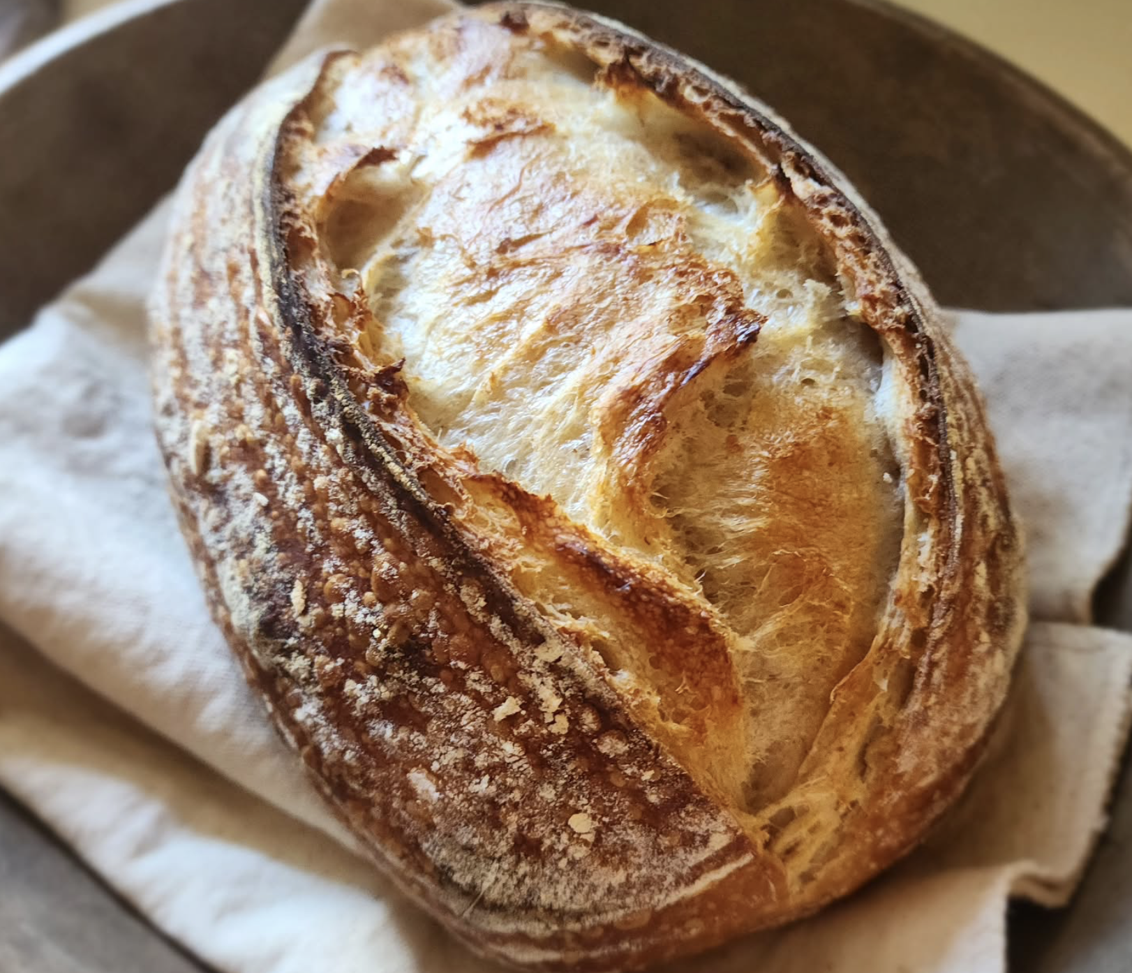 sourdough.png (Copy)