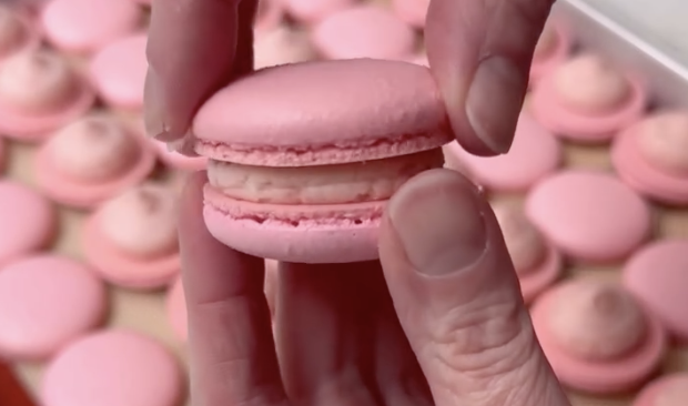 Colorful assorted macarons arranged in rows.