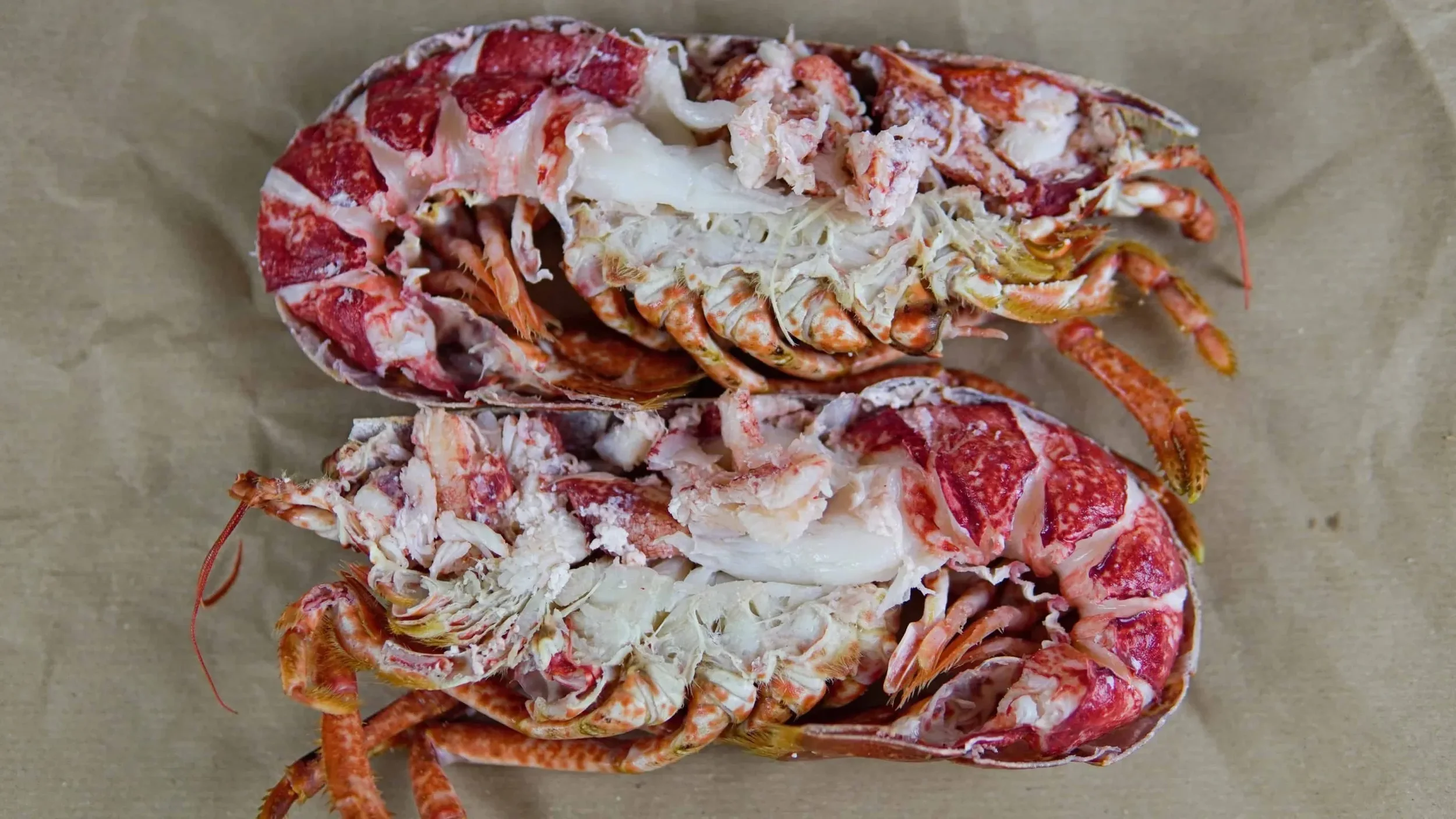 Seasonal Shellfish