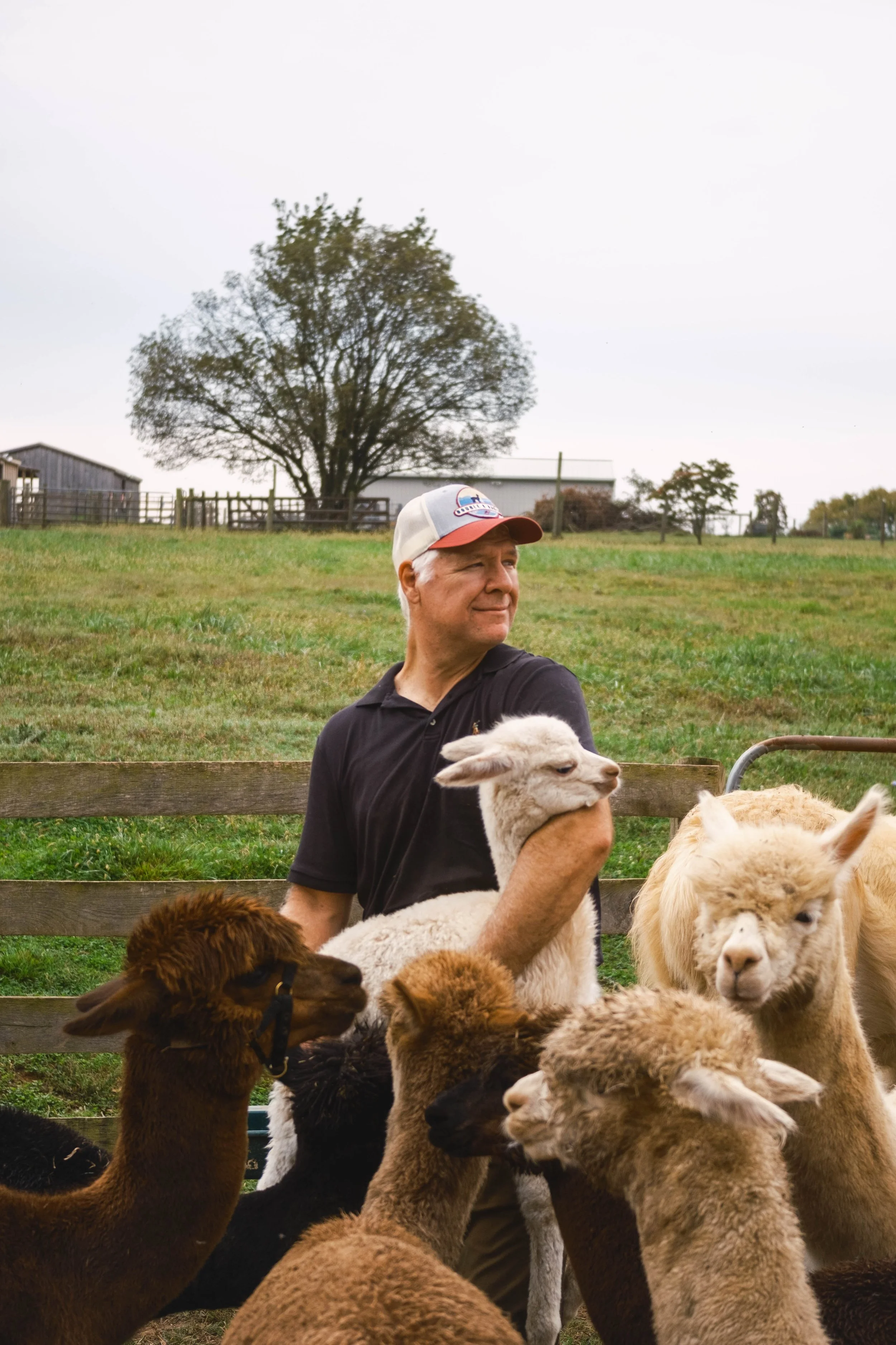 Breaux Alpaca-45.jpg