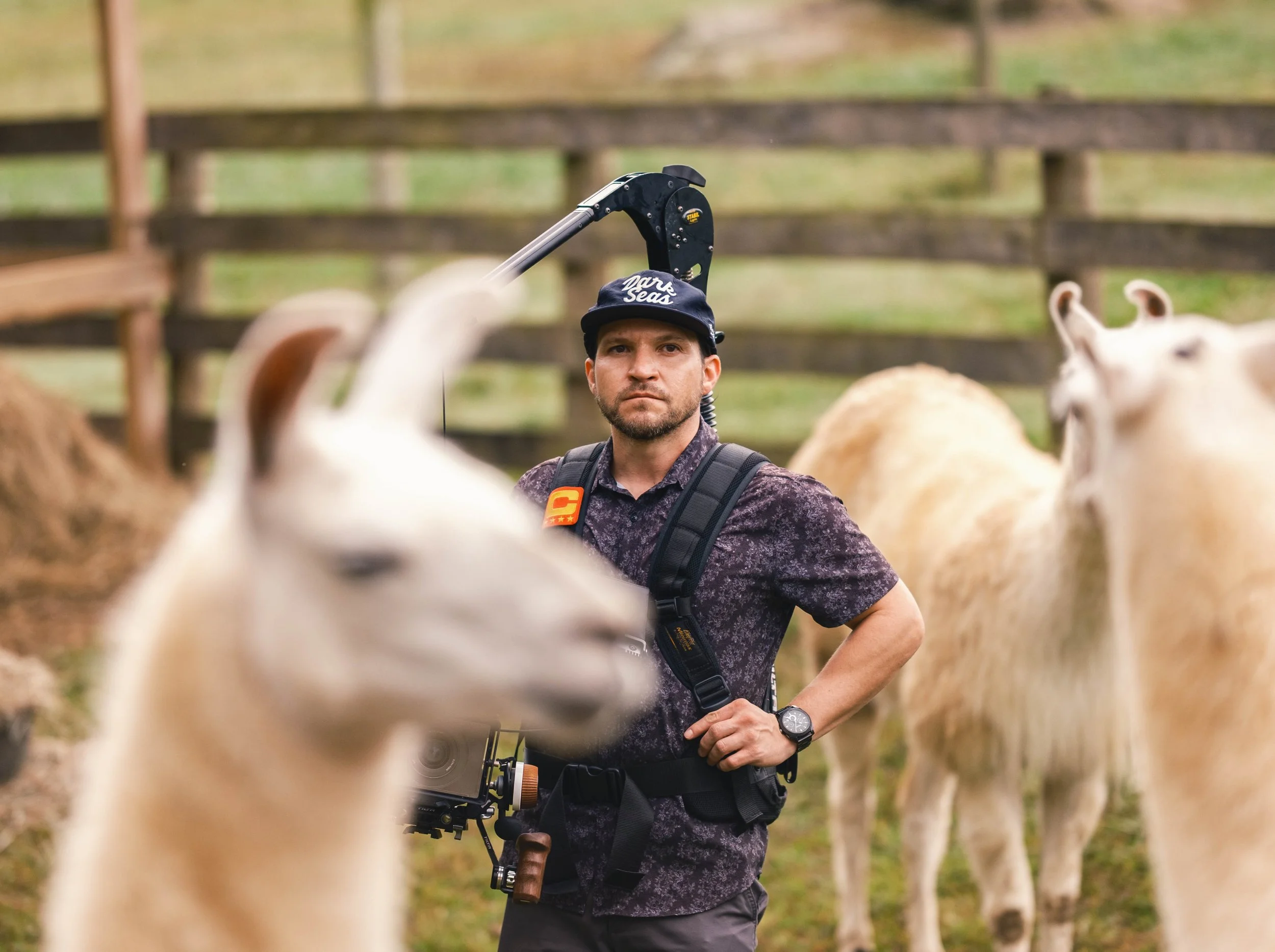 Breaux Alpaca-37.jpg