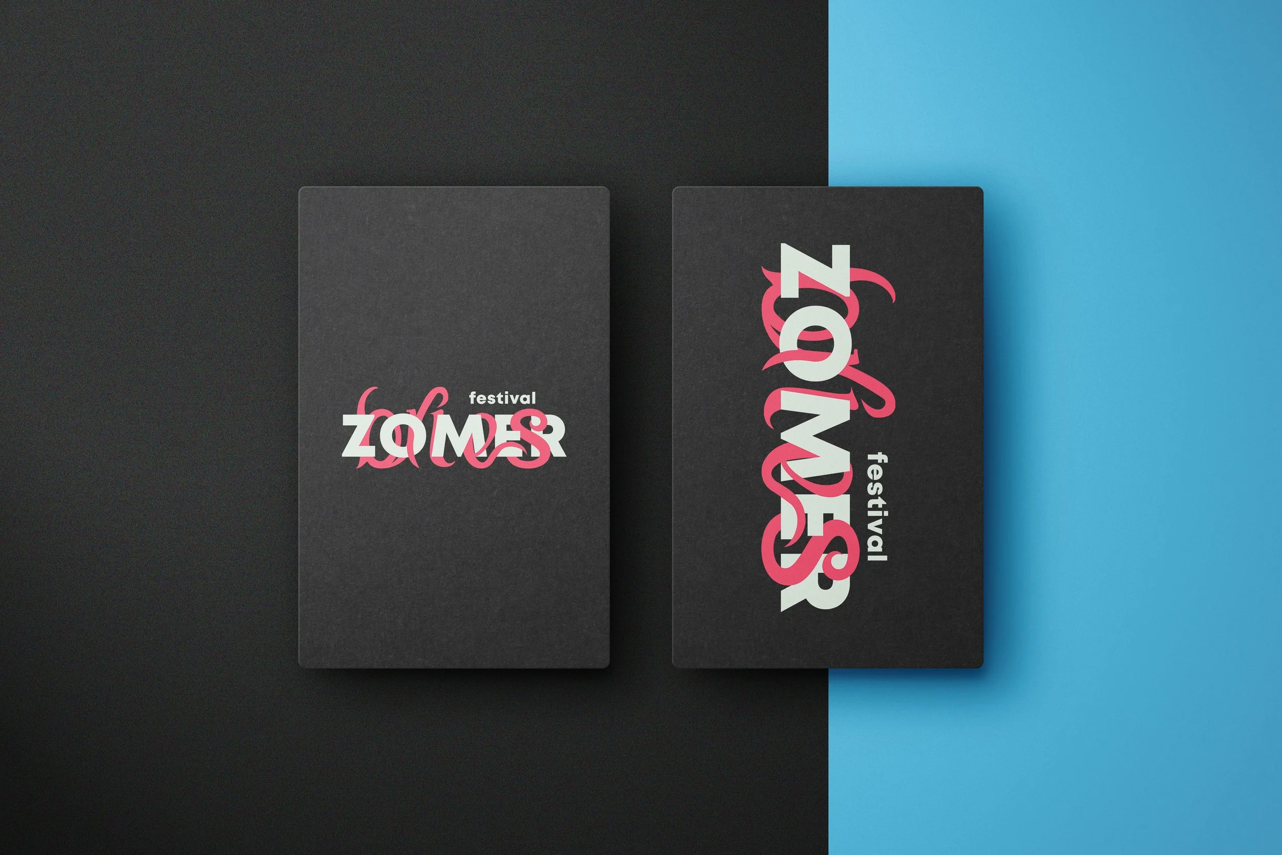 Full festival branding including website, logo, and merchandise design for Zomerbries event
