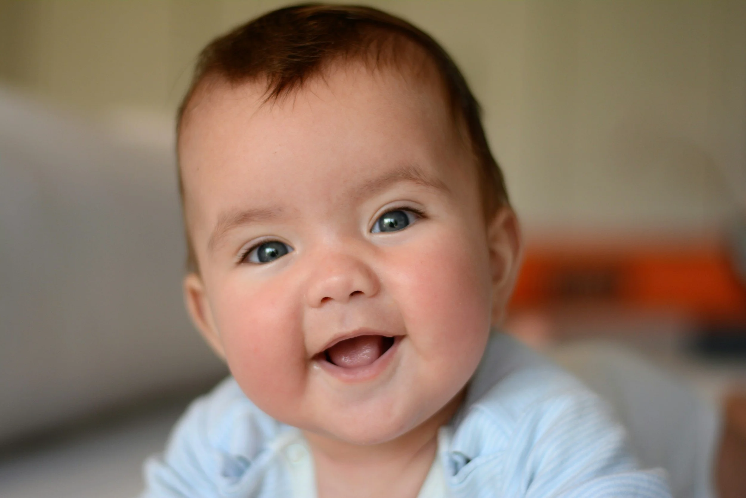 Preparing your cat for your new baby - 10 things to think about