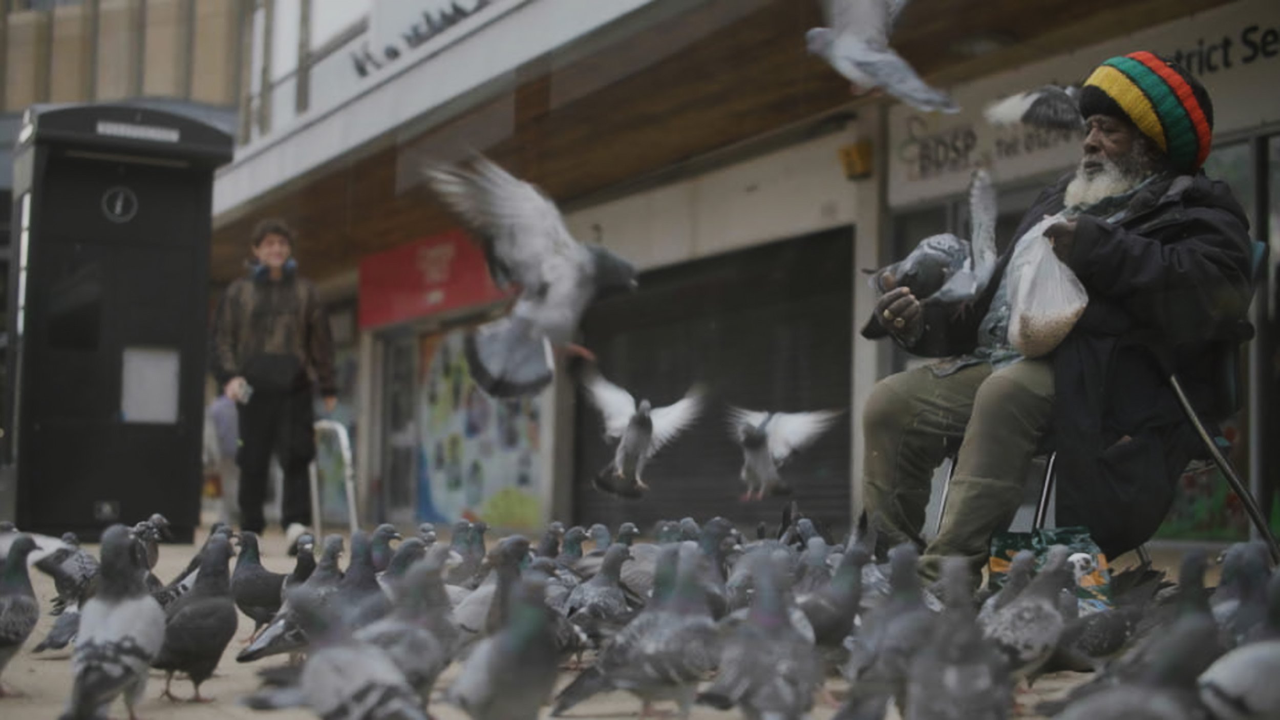 Barry Roots Still 05.jpg