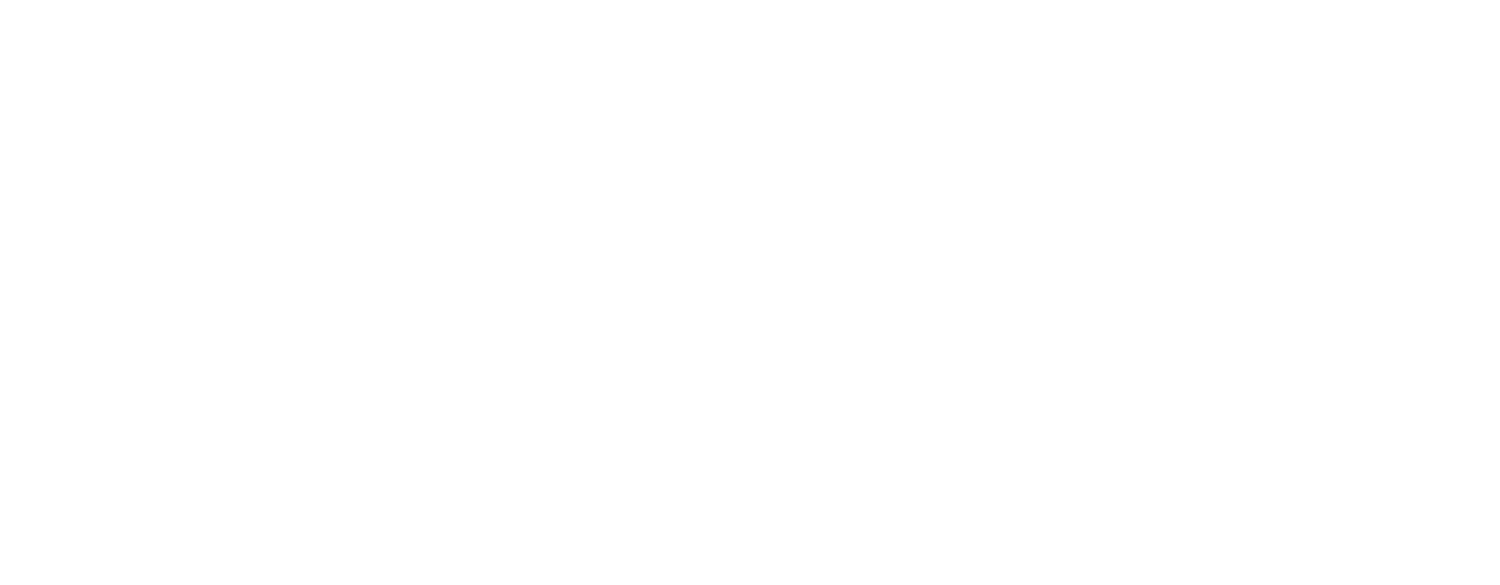Kaminsky-design