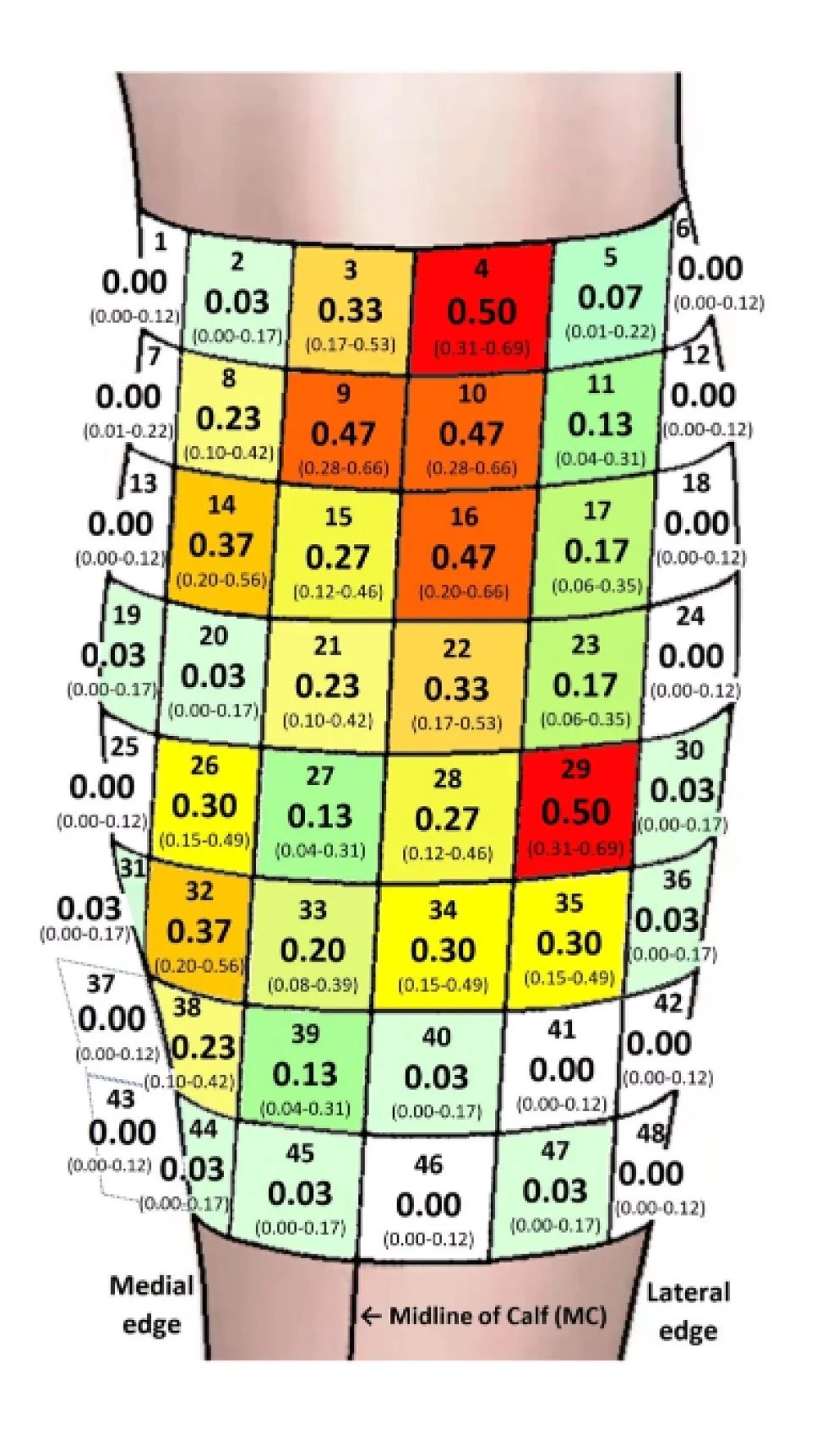 Motor point heatmap of the calf