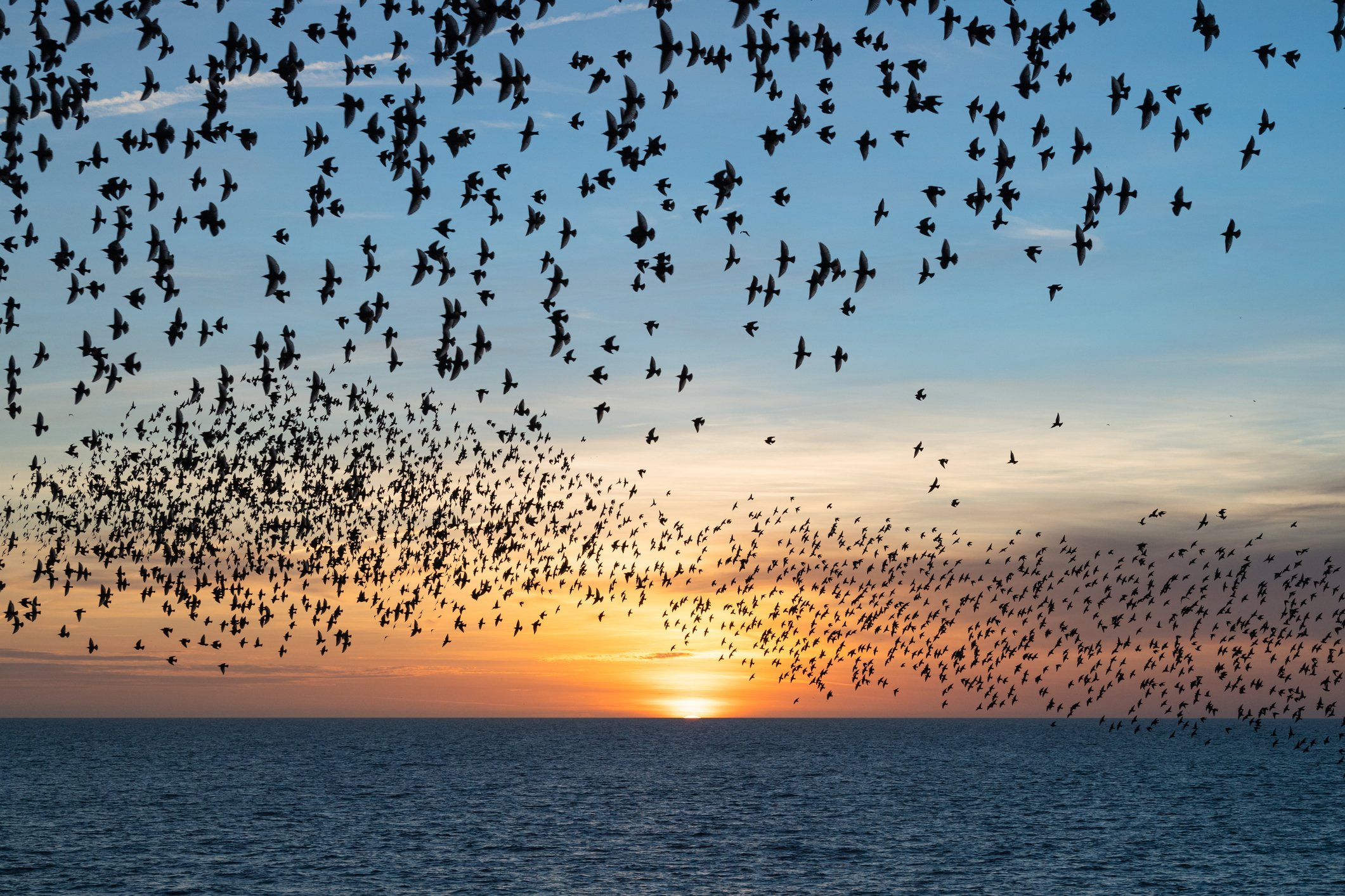 From Risk and Compliance to Risk and Adaptability: Why 2026 Demands a Fundamental Reframing