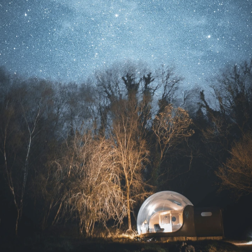 "I tried forest bathing to see if it can really help my anxiety