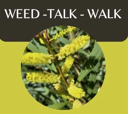 Weed - Walk - Talk
