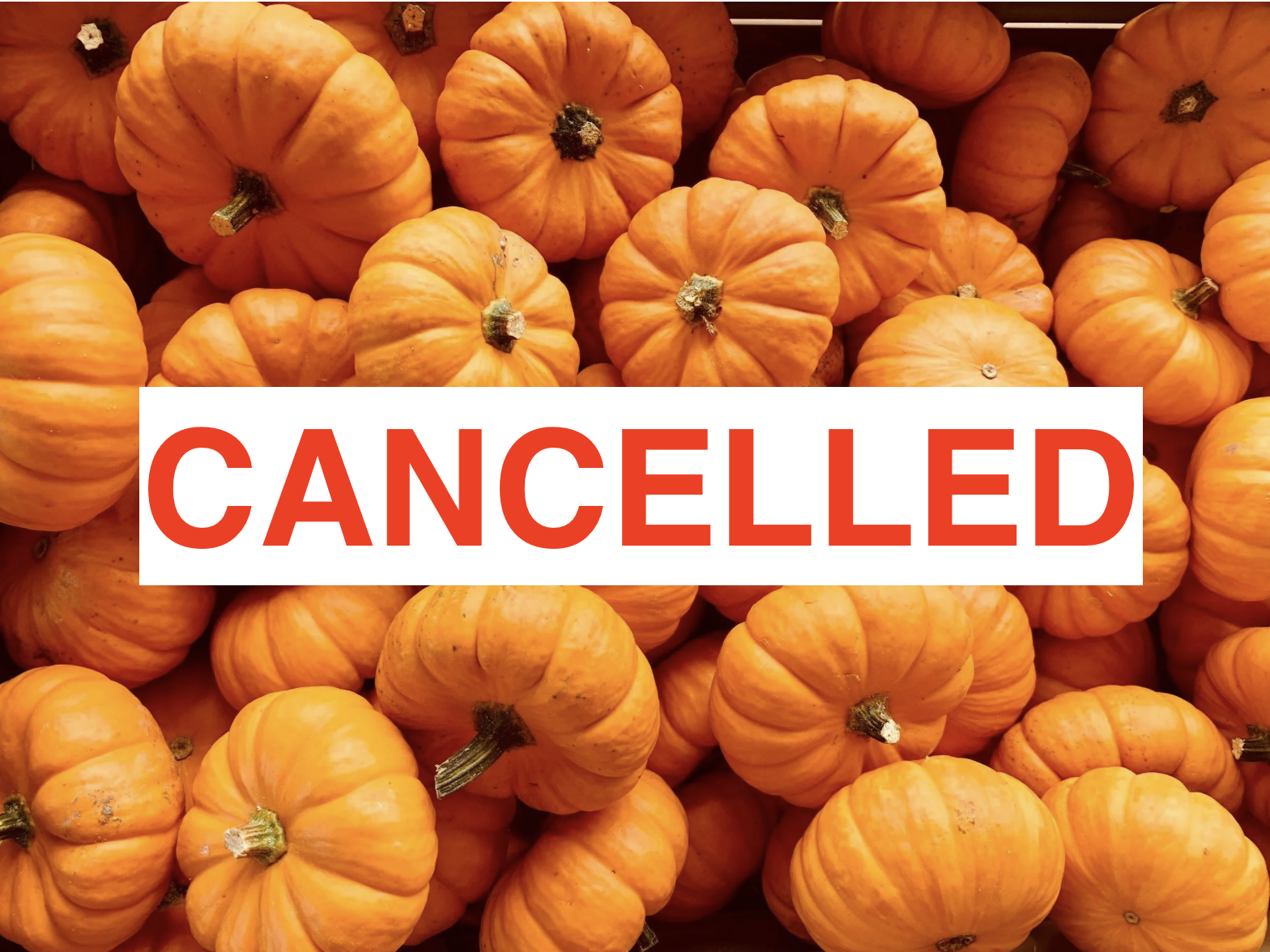 CANCELLED Pumpkin Festival