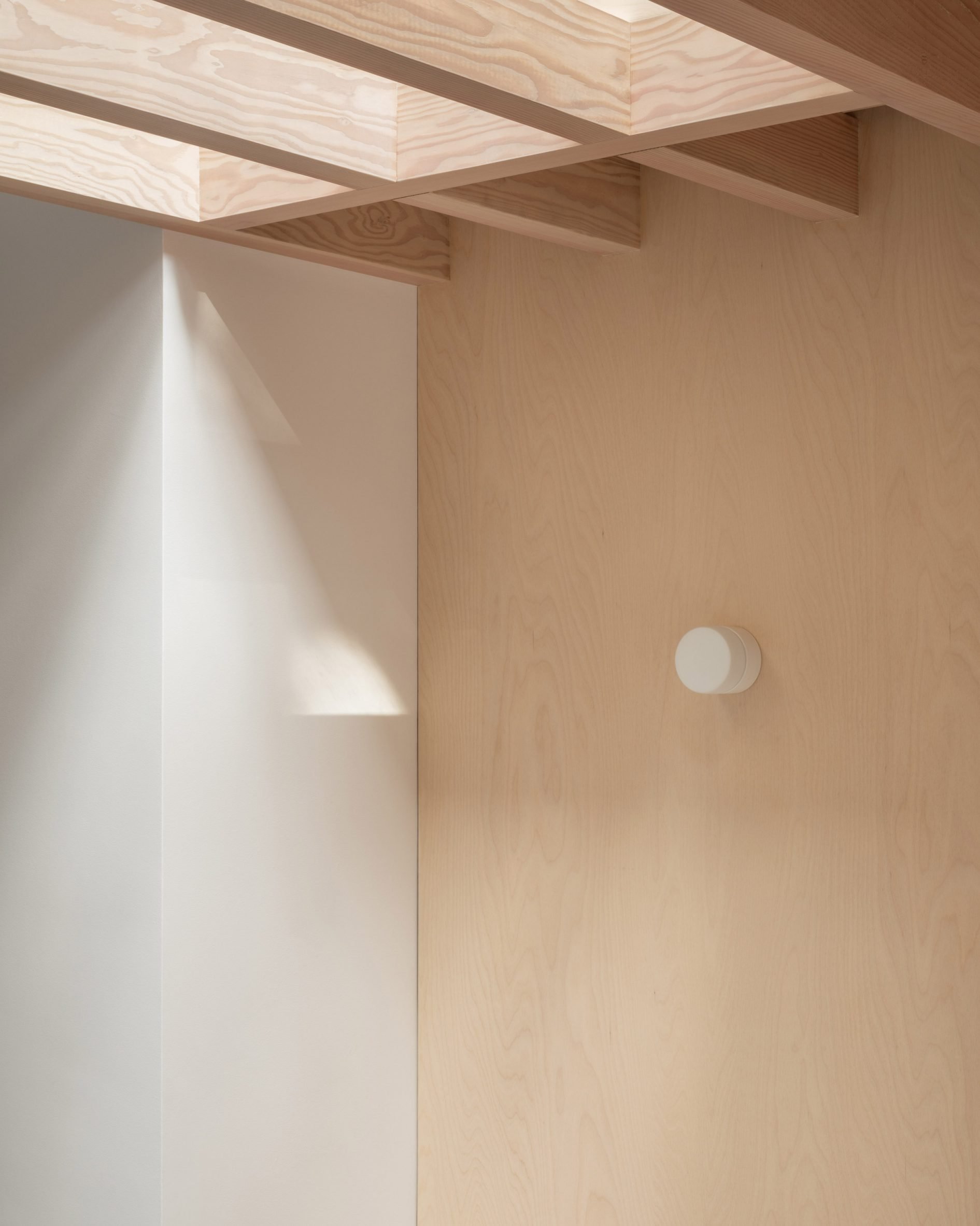 db-apartment-studio-M and O Ltd-london-house-extensions_2364_col_1-scaled.jpg