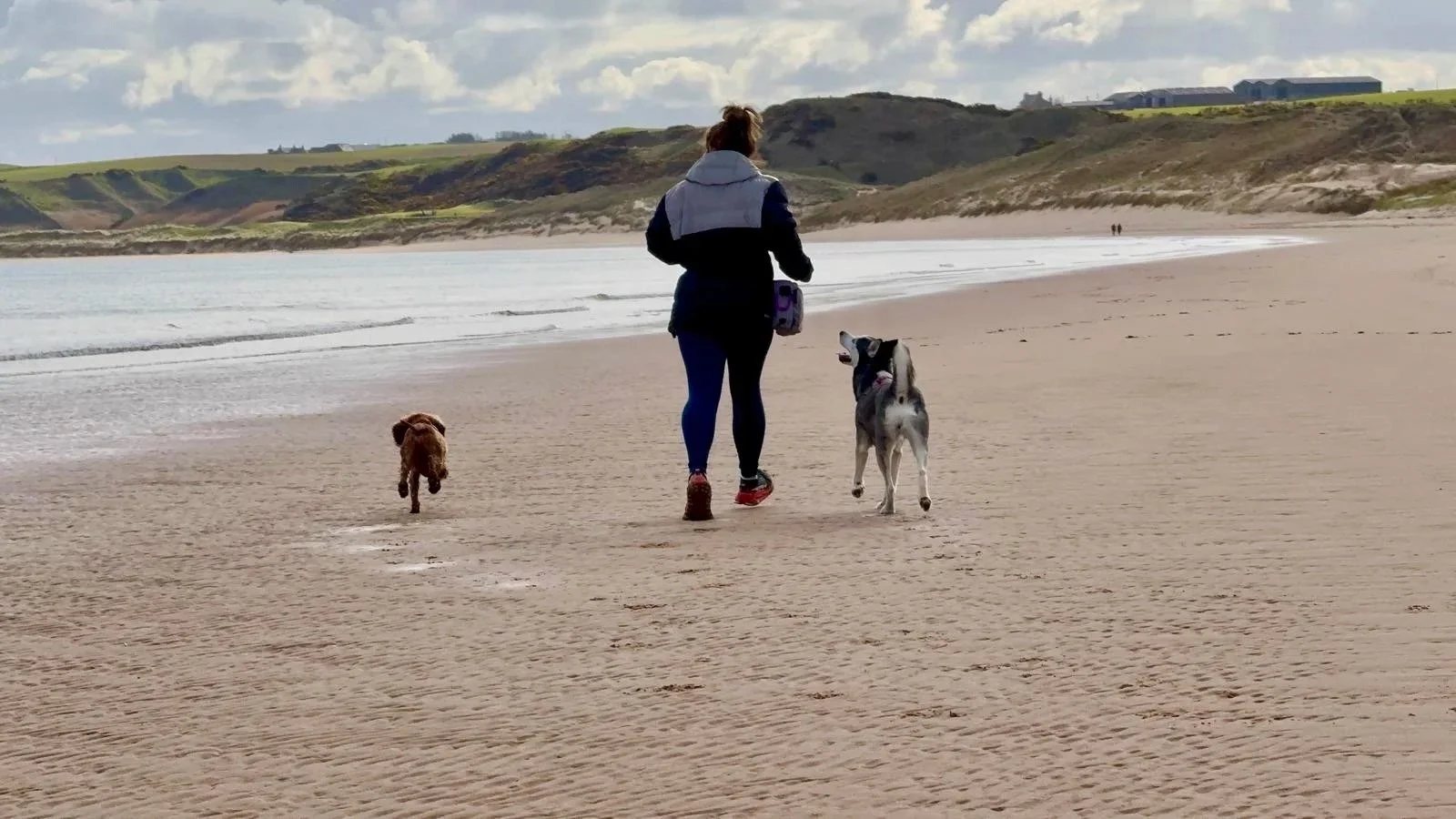 My Siberian Husky, Cocker Spaniel and I running along the beach