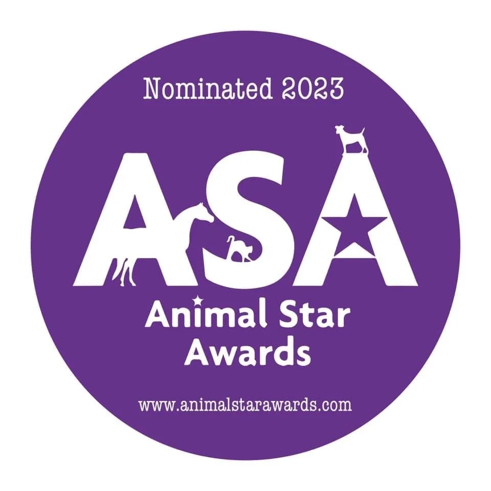 Dog Trainer of the year nomination 2023