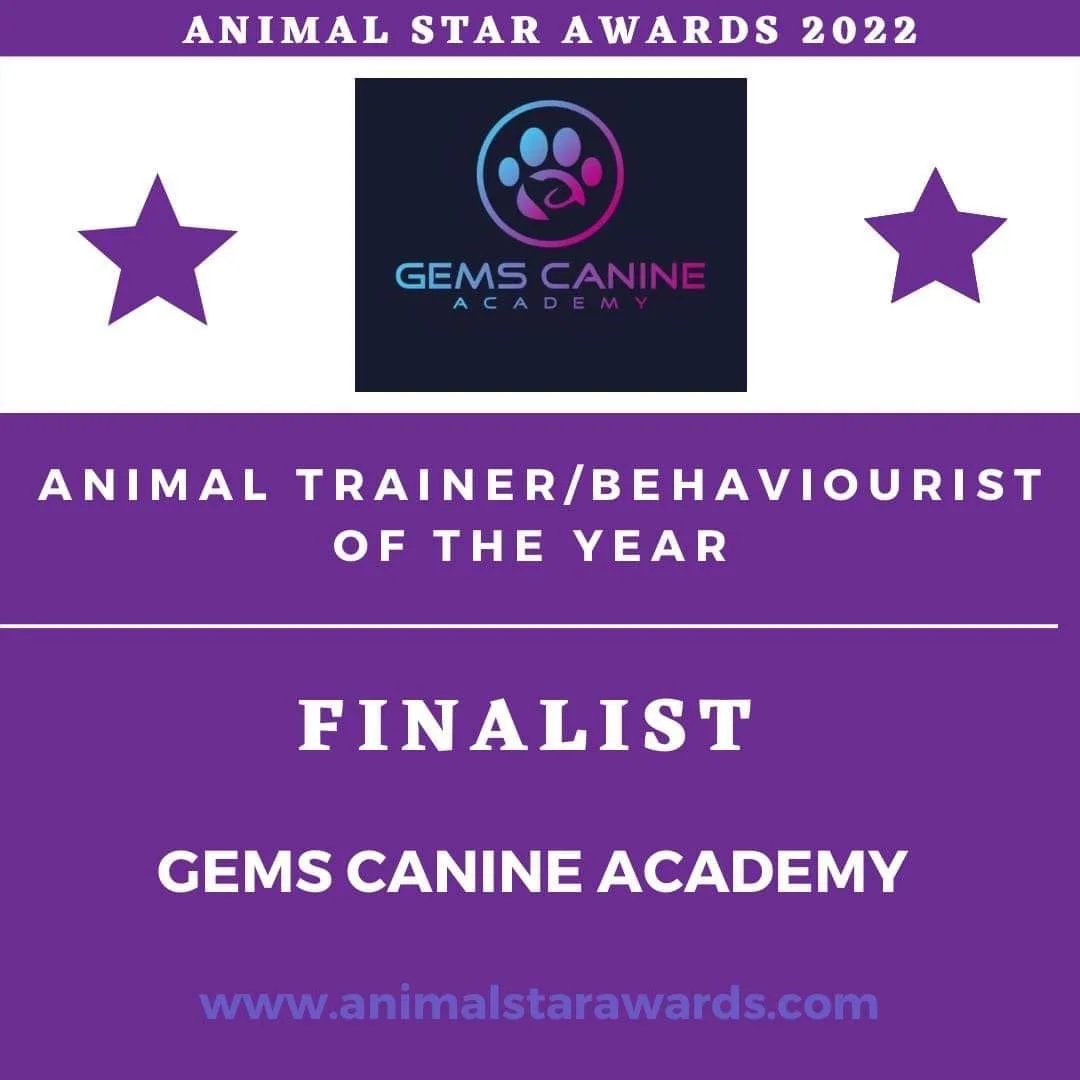 Dog Trainer of the year Awards Finalist 2022
