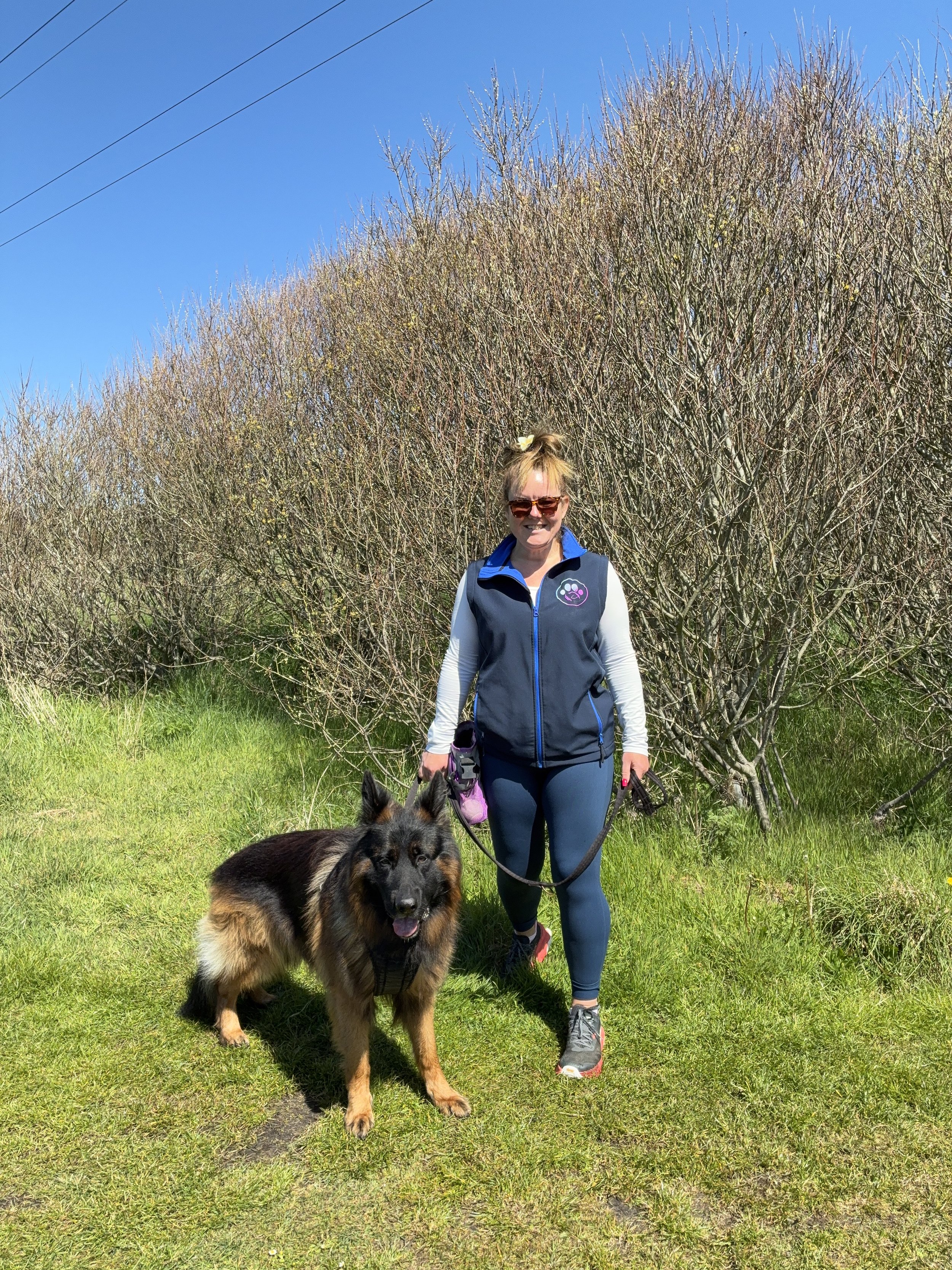 German Shepherd dog and human walking toward the camera