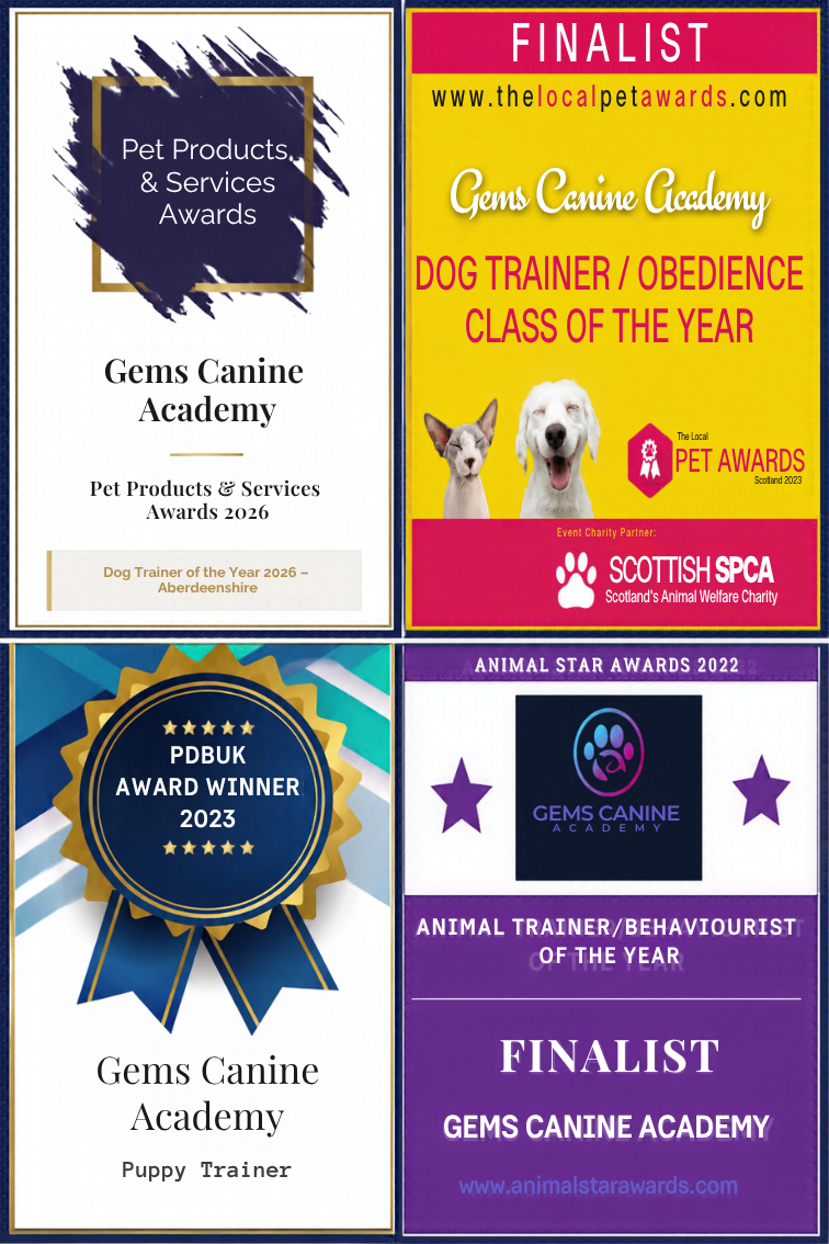 A collection of awards and finalist awards