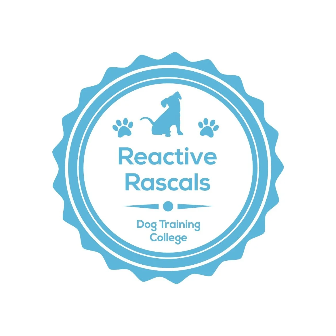 Reactive Dog Experience