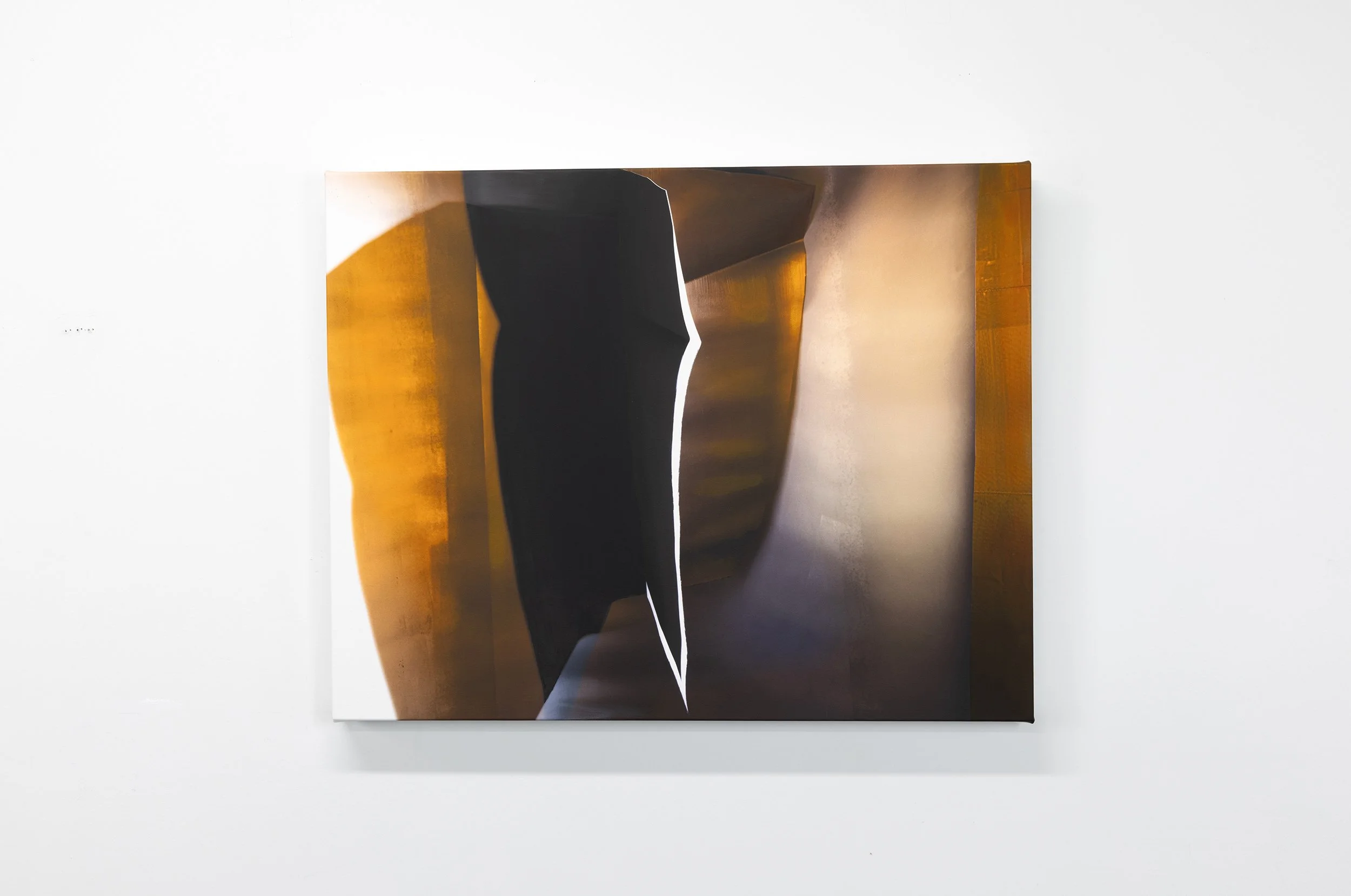 Sidelong 2025 Archival Ink and Acrylic on Canvas 22 x 28 Inches