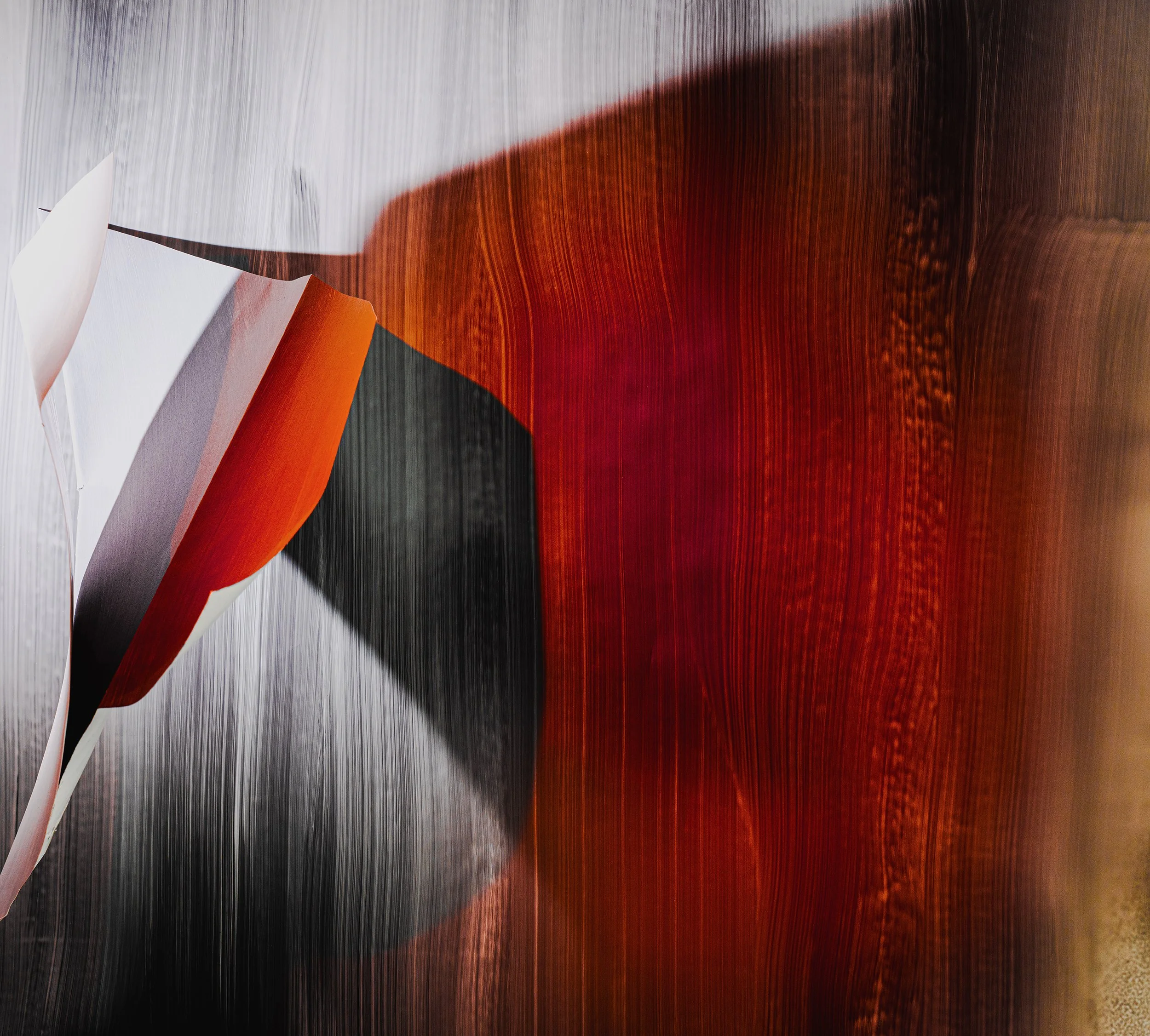 Untitled #10 2025 Unprinted