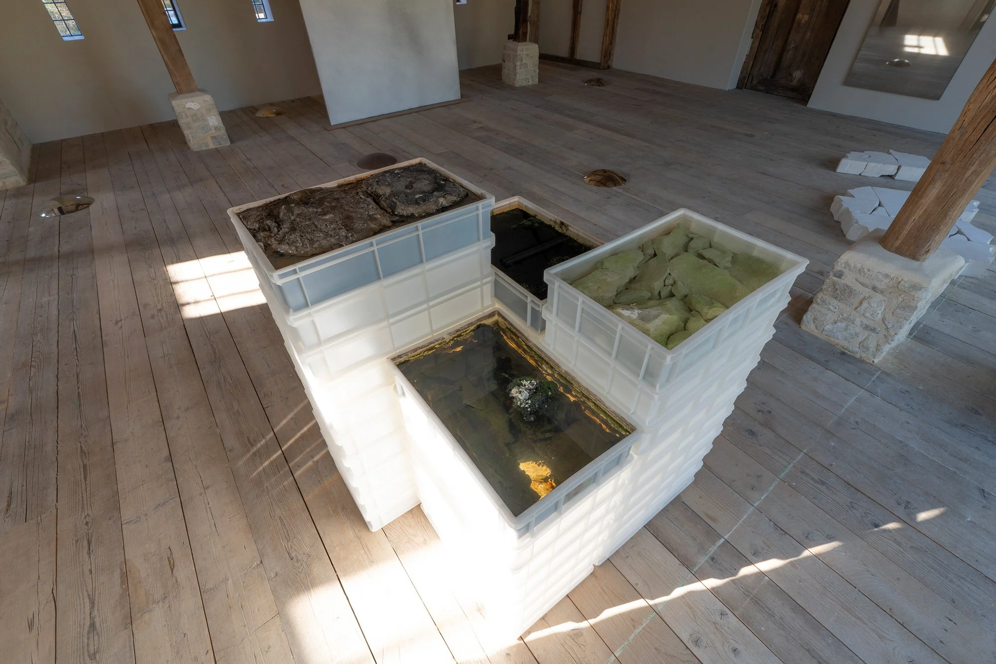 Bog Body composition, 2026, site specific installation with additional containers
