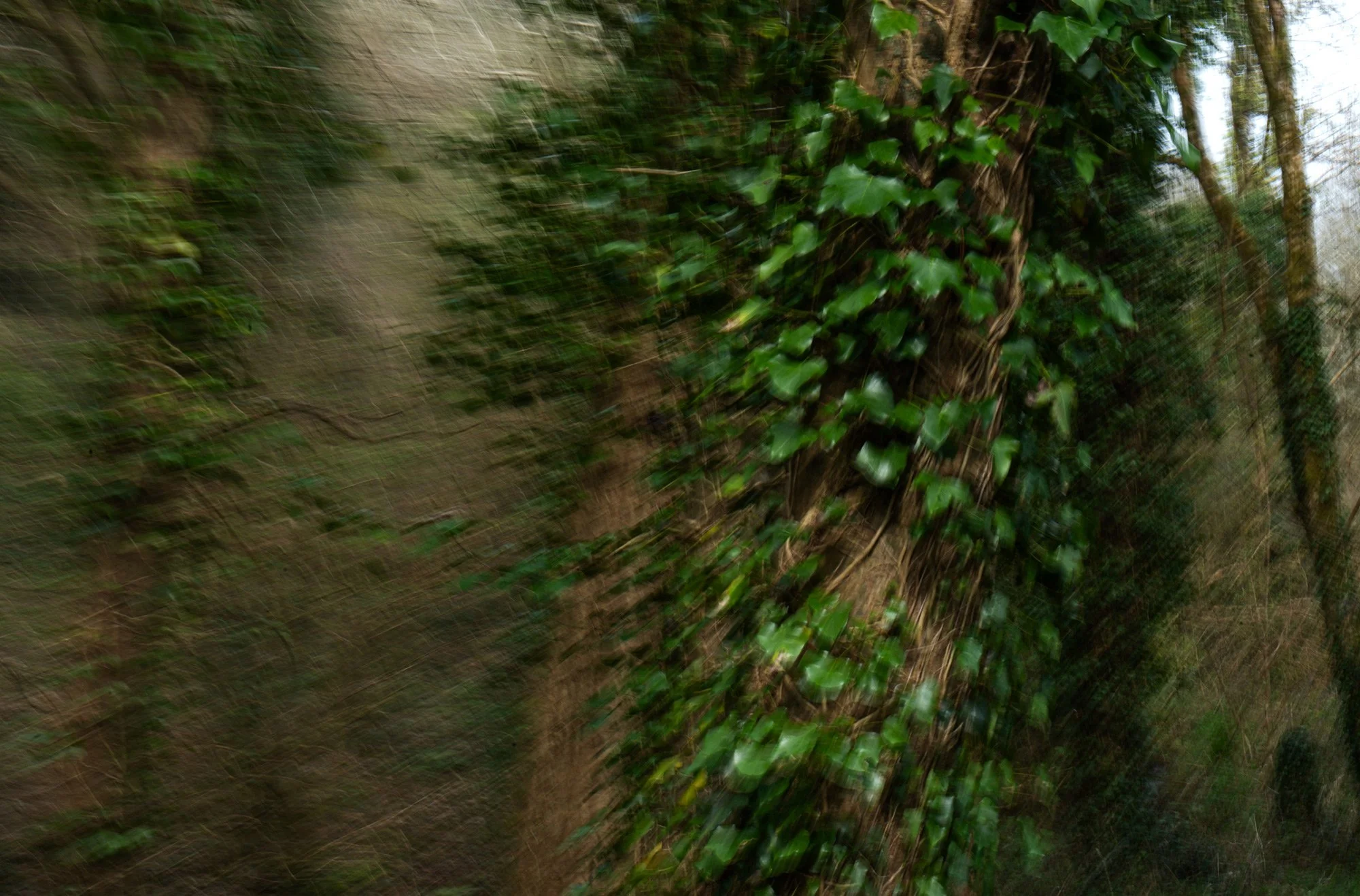 Outside My Body, You Watch Me, 2026
archival pigment print on Hahnemühle Photo Rag Metallic, digital photograph, 56 x 85 cm, edition of 3 + 2AP
