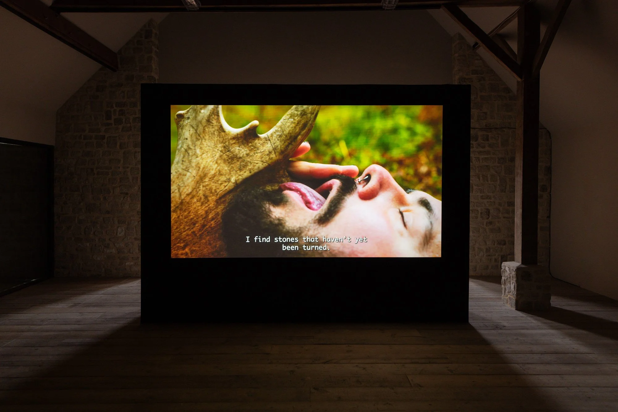 IP_2026_Danilo-Zocatelli_VIADO_Installation-view-9_W.jpg