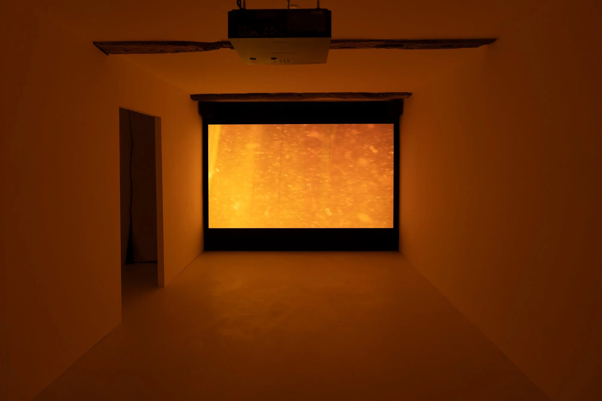 Bog Body Abstractions, 2024, 4K looped video, 13 minutes and looped soundtrack 34 minutes