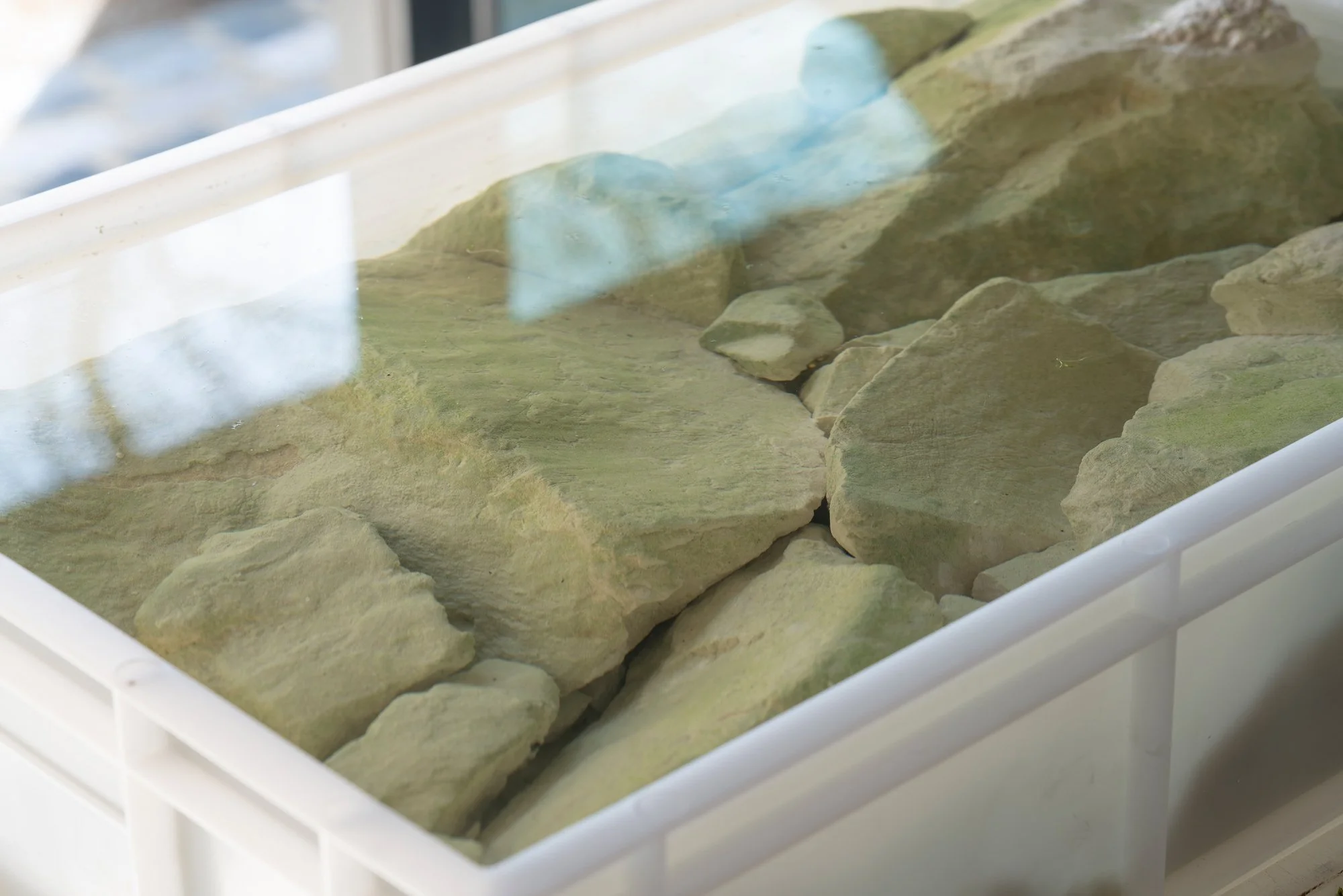 Untitled Bog #12, 2025, polyethylene, chalk and water, 12.7 x 59.7 x 39.7 cm