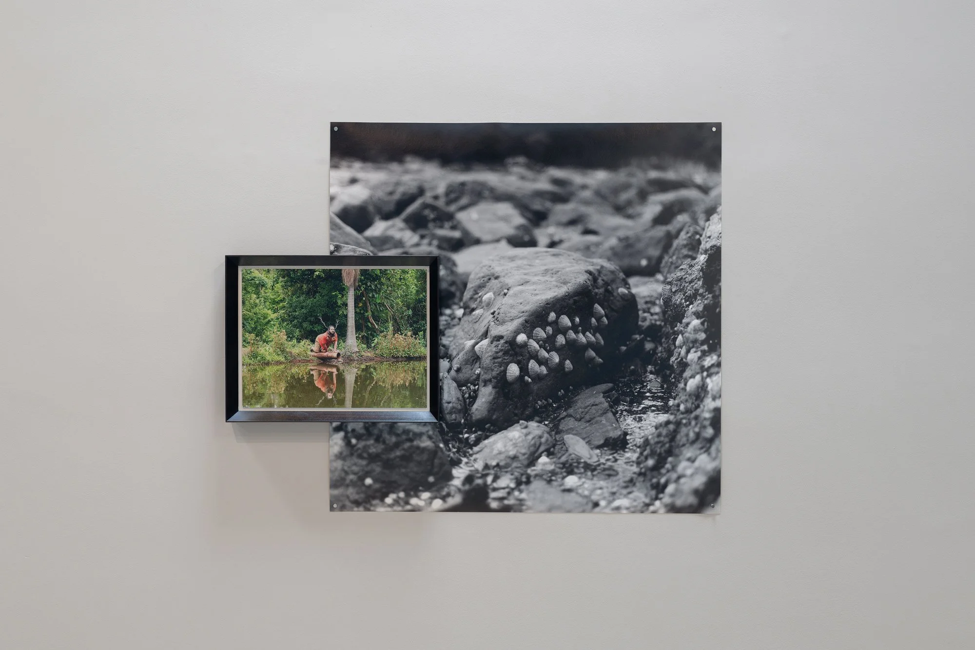 IP_2026_Danilo-Zocatelli_VIADO_Installation-view-50_W.jpg