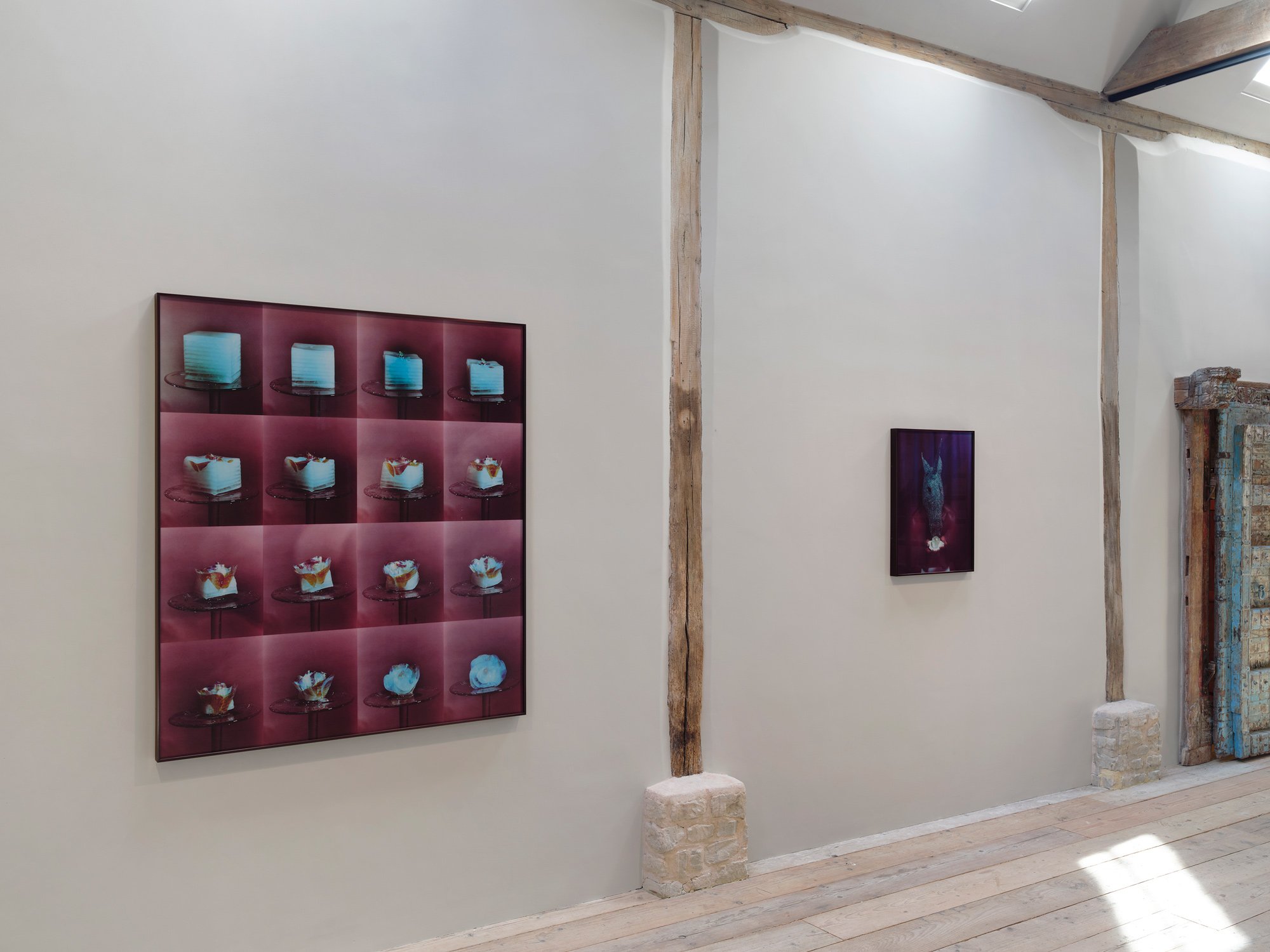 IP_2025_Ralph-Whitehead_Phase-Transitions_installation-view-4_W.jpg