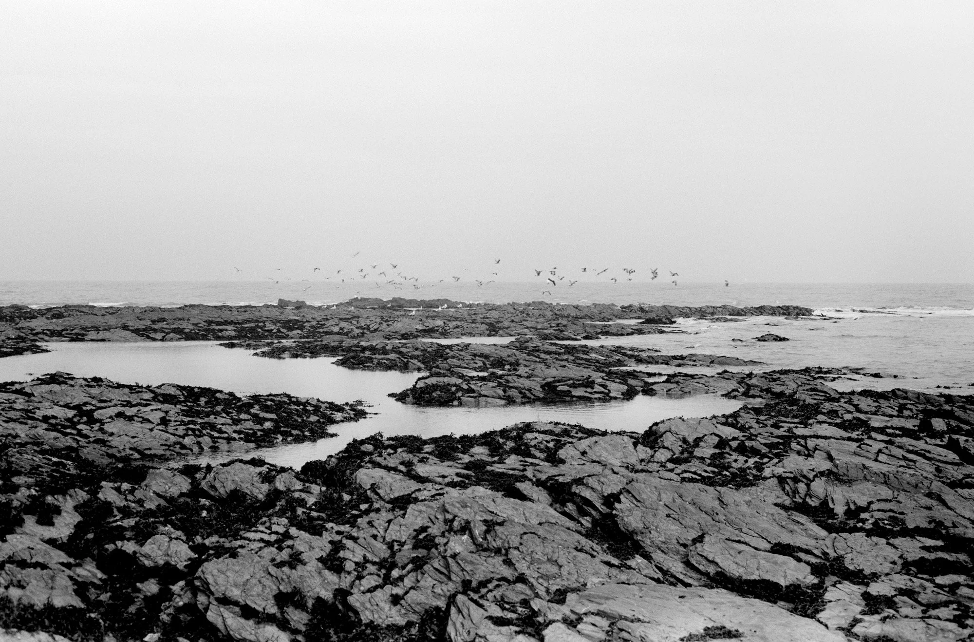 Queer Chorus, 2025, archival pigment print on Hahnemühle Photo Rag Metallic, 35mm, 56 x 85 cm, edition of 3 + 2AP