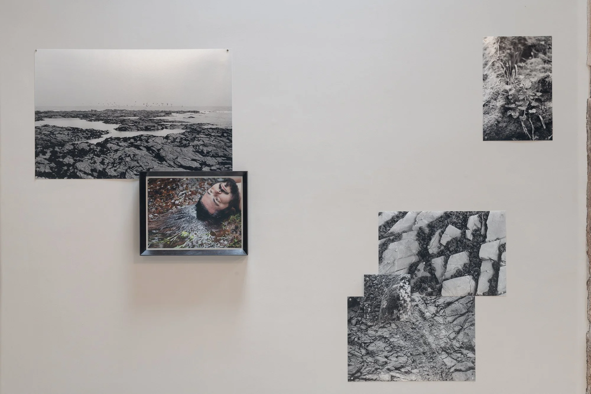 IP_2026_Danilo-Zocatelli_VIADO_Installation-view-49_W.jpg