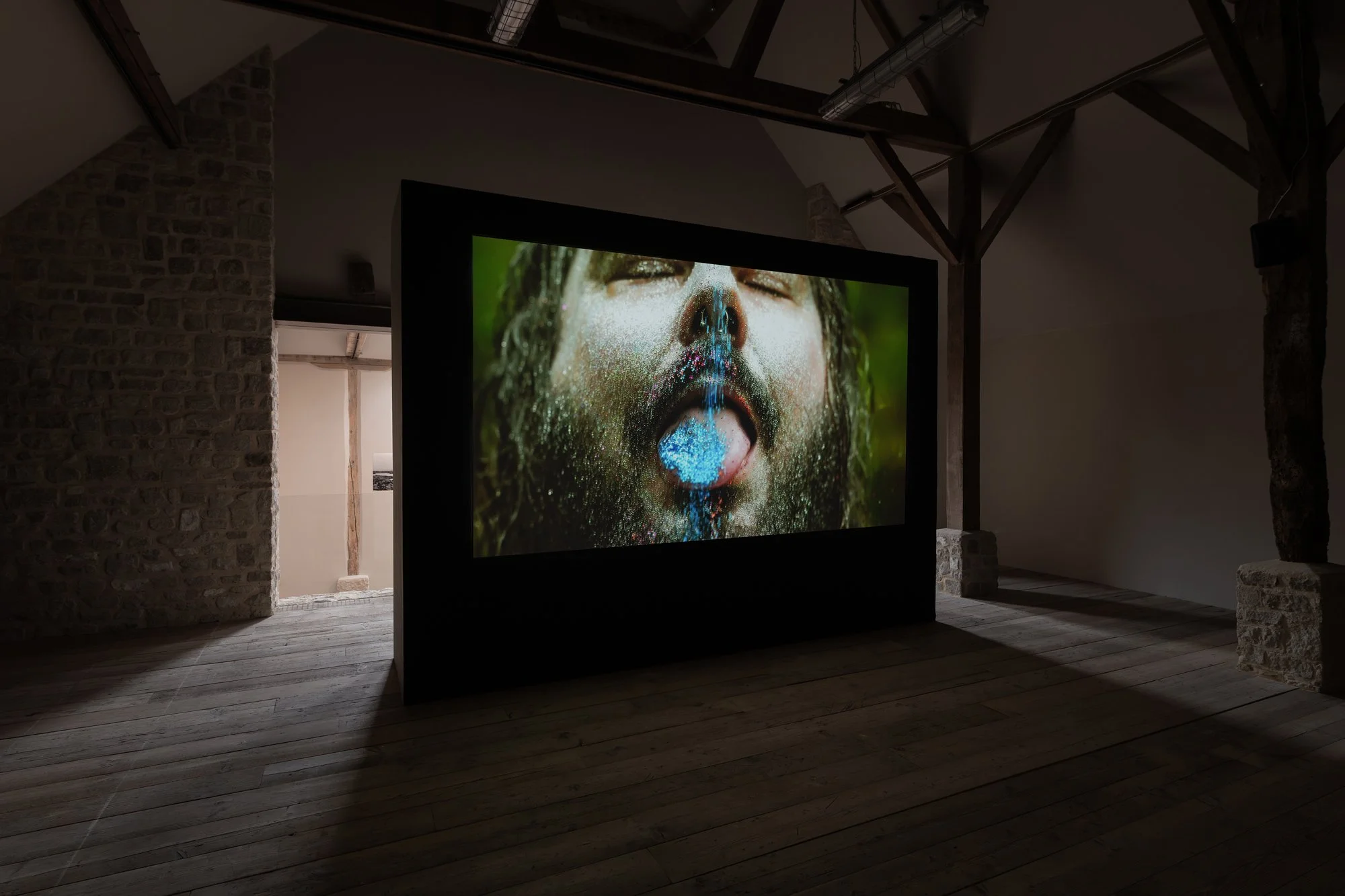 IP_2026_Danilo-Zocatelli_VIADO_Installation-view-4_W.jpg