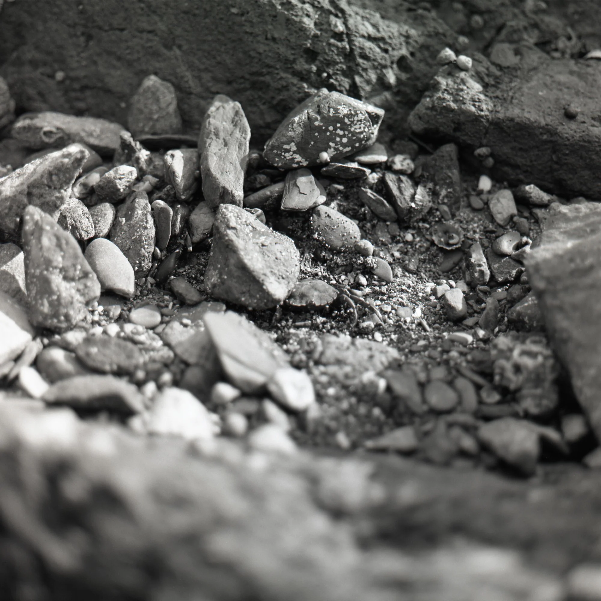 Signs of Life, 2025, archival pigment print on Hahnemühle Photo Rag Metallic, 35mm, 20 x 20 cm, edition of 8 + 2AP