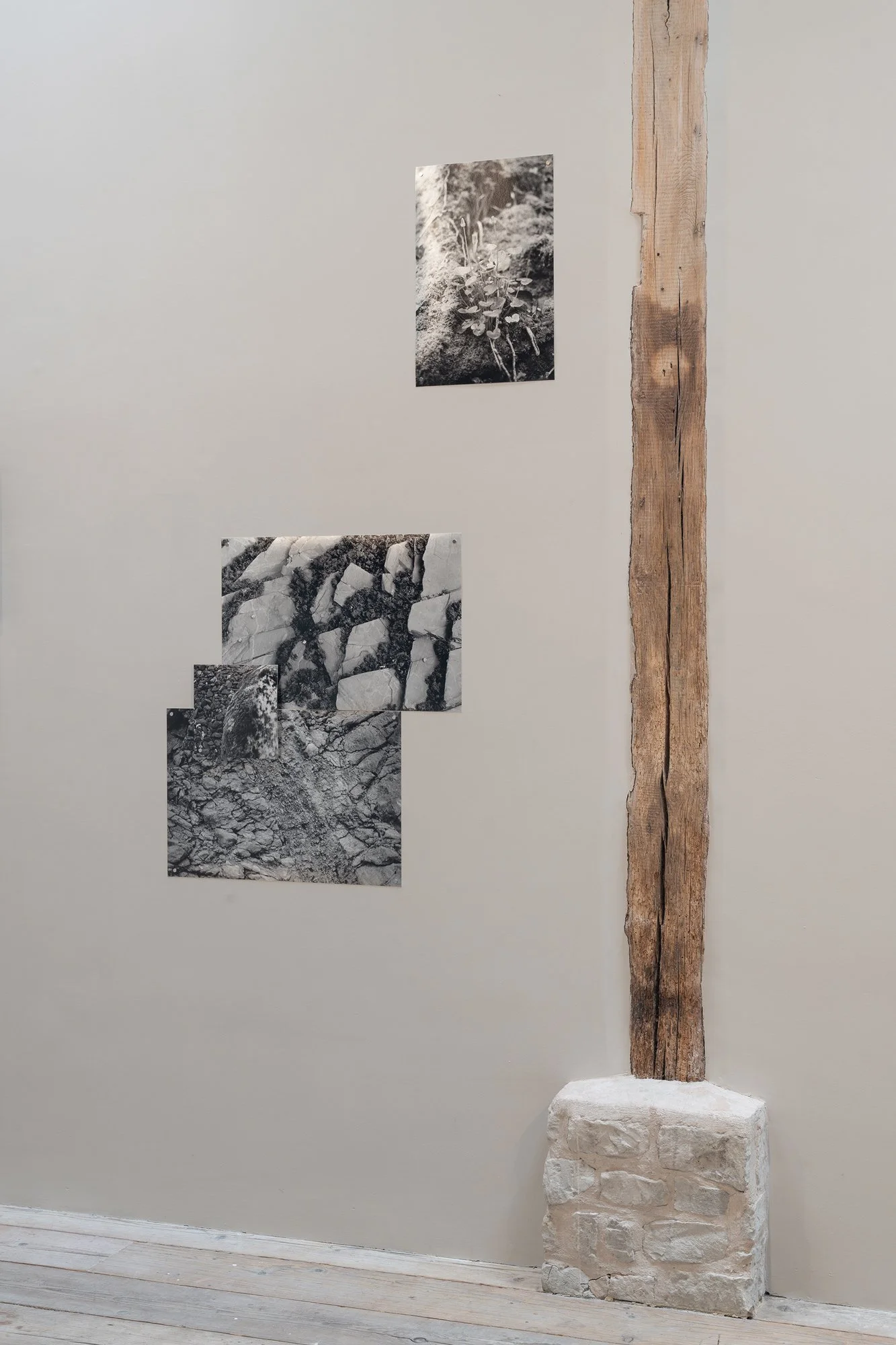 IP_2026_Danilo-Zocatelli_VIADO_Installation-view-65_W.jpg