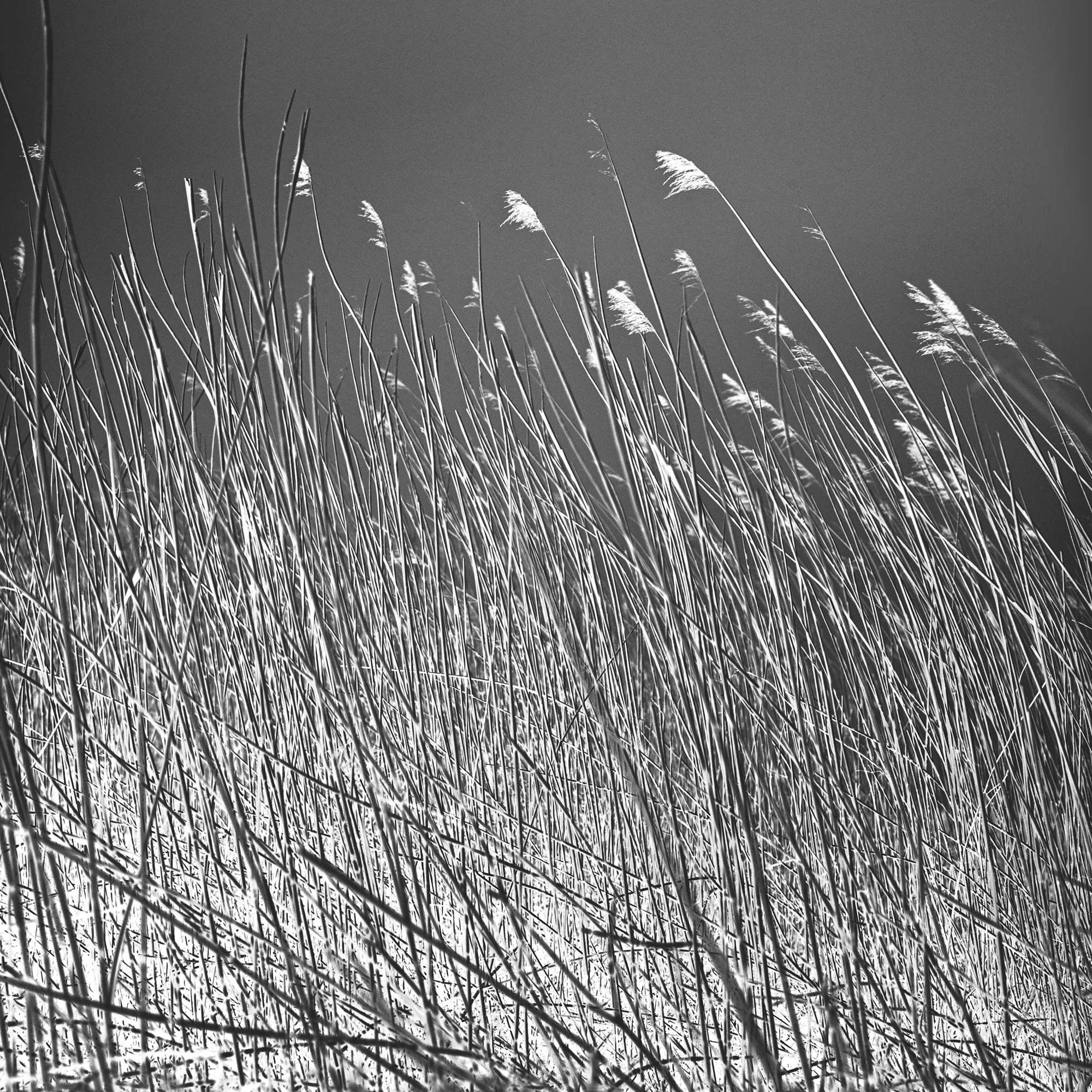 DD_2025_You-Breathe-With-Me_100-x-100-cm_W.jpg