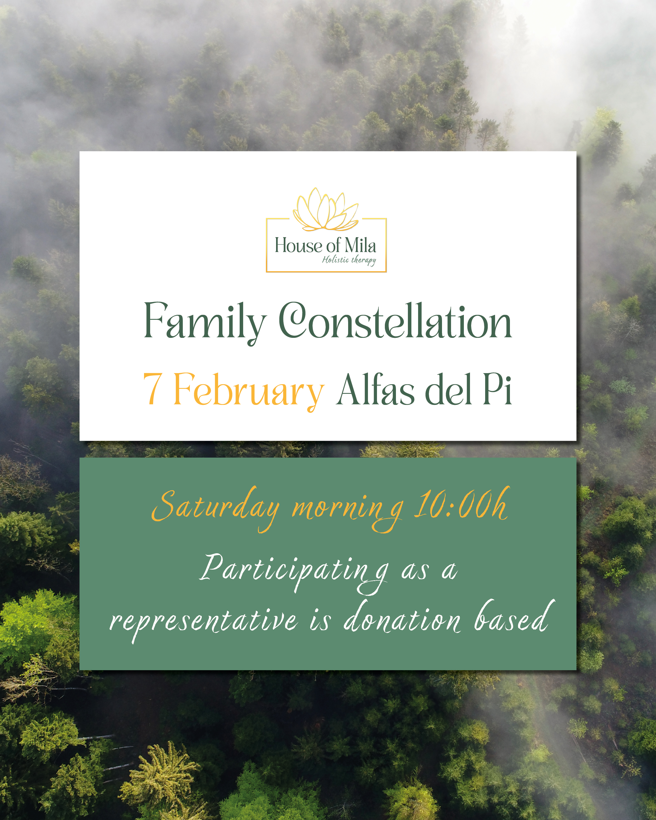 Family Constellation