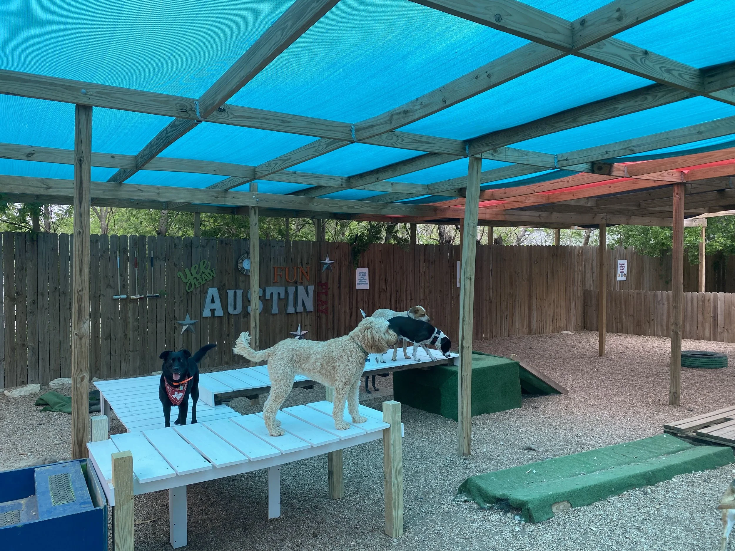 Daycare Yard After