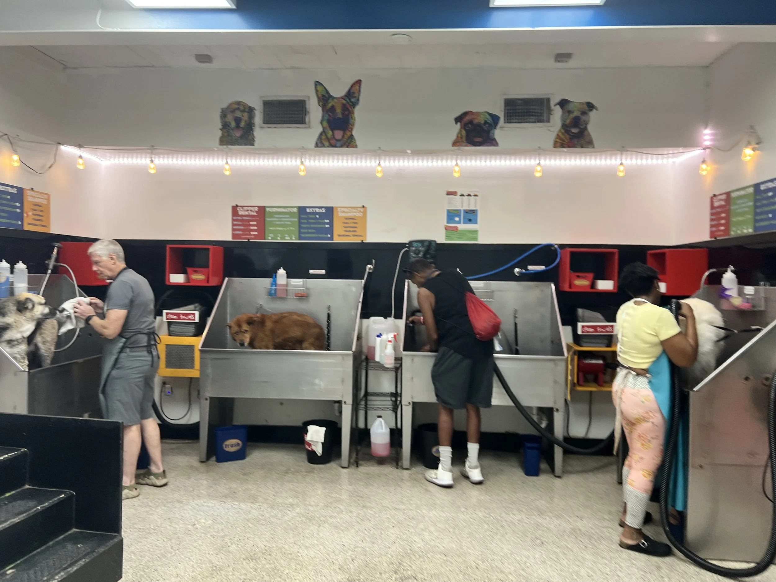 Self Serve Area- After